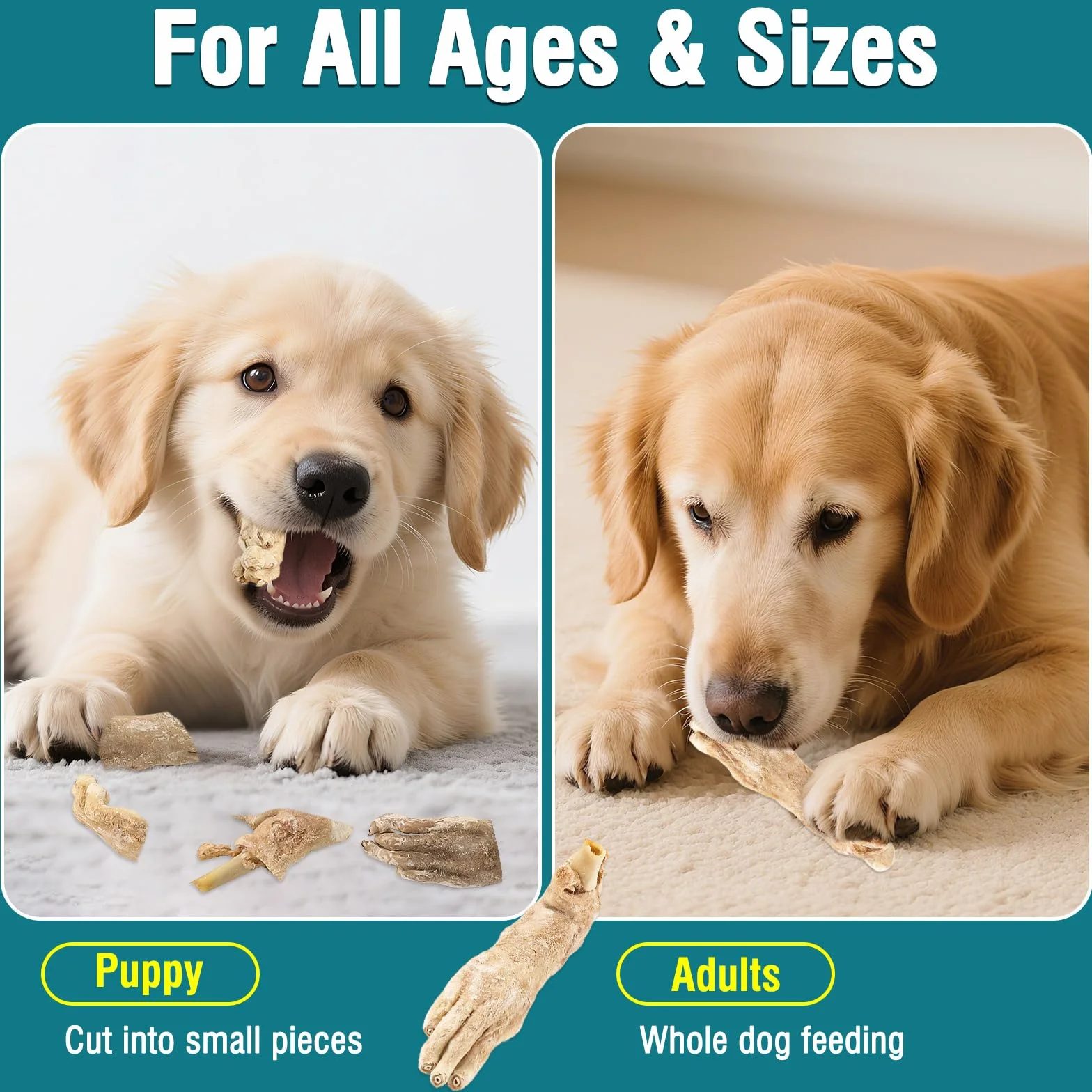 Friandises pour Chiens à Base de Pattes de Lapin lyophilisées Naturelles sans céréales Single-Ingredient 50g