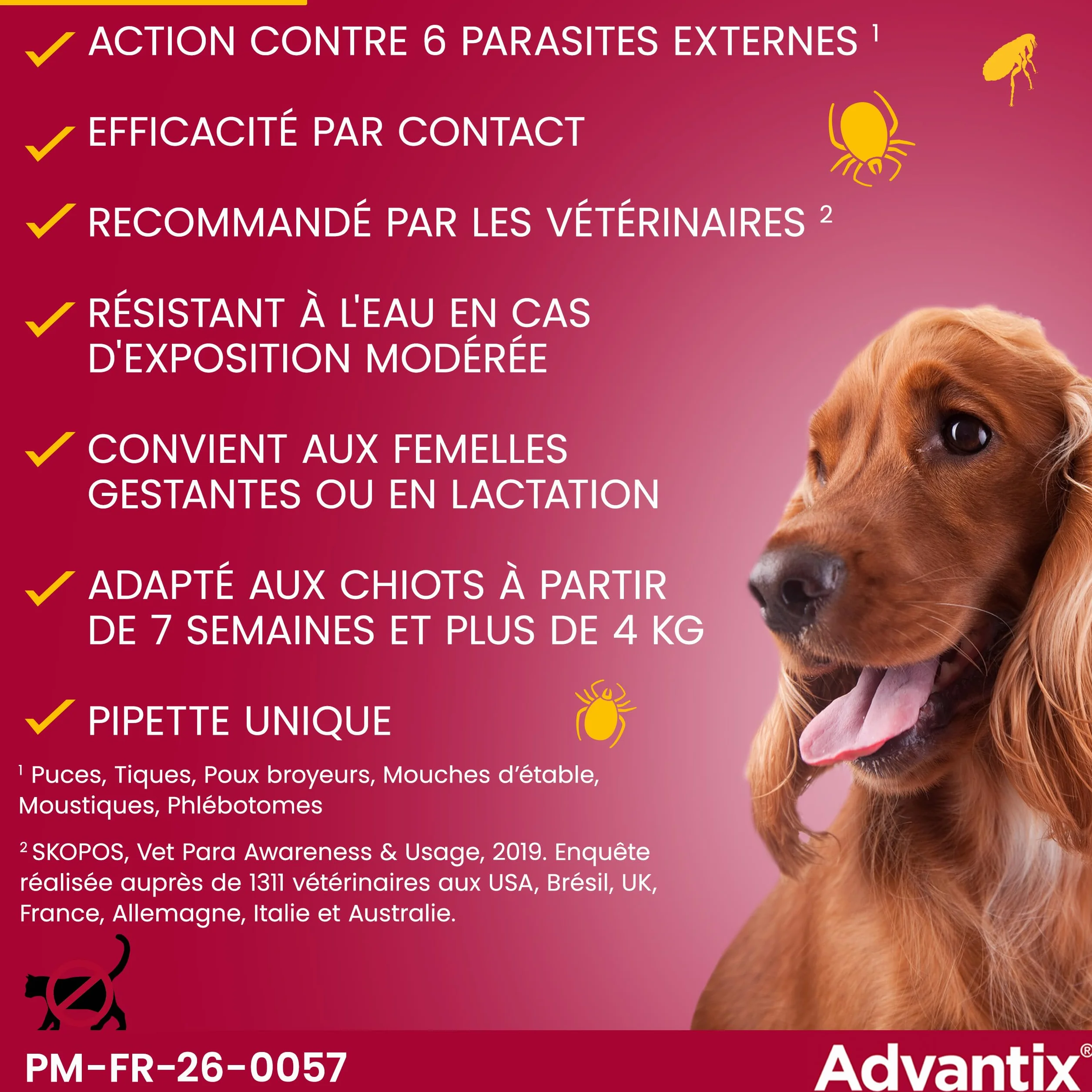 Advantix Petit Chien 4-10 kg Pipettes anti-parasites 6 parasites Protection 4 semaines 4 x 1,0 ml