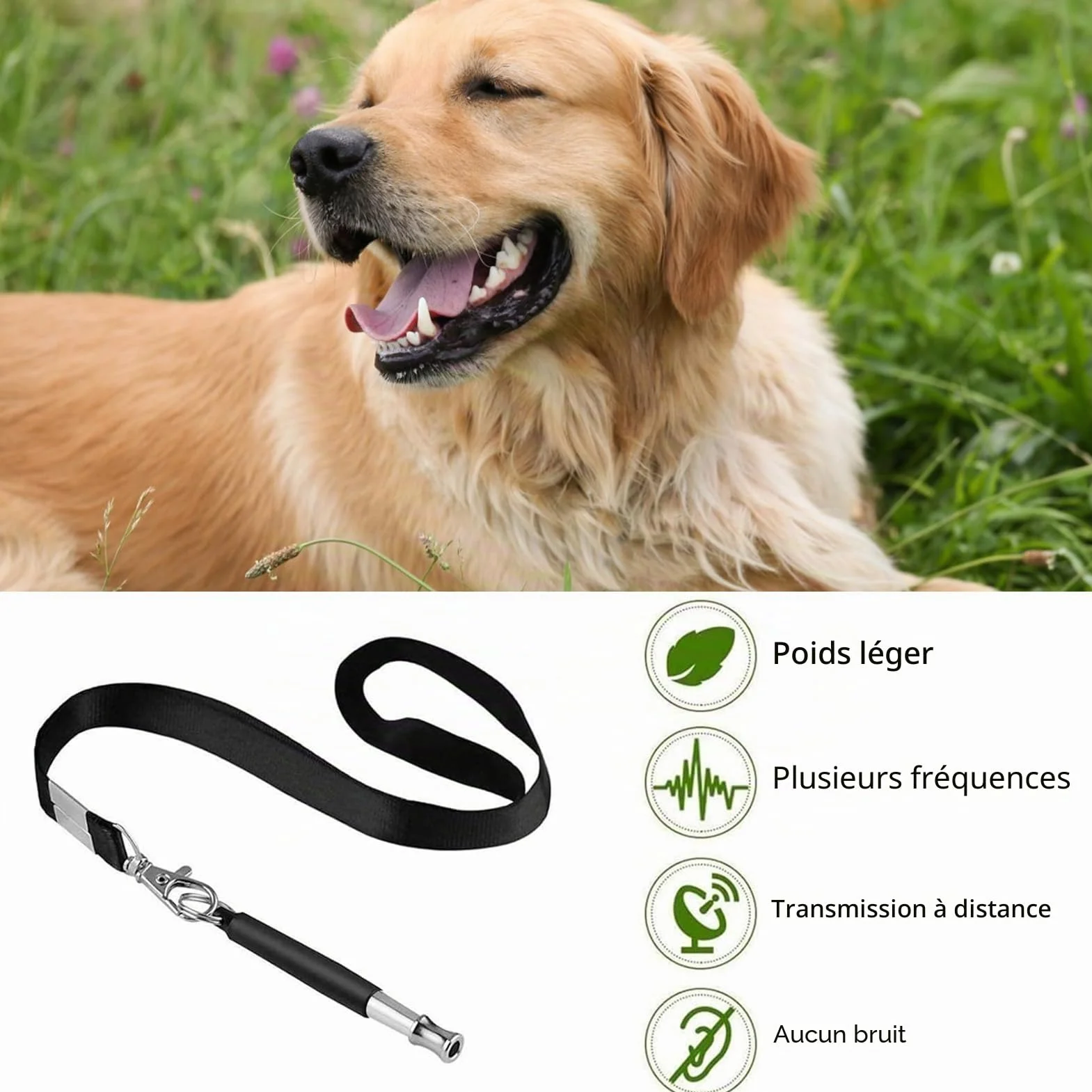 Sifflet pour chien à ultrasons haute fréquence silencieux, Fréquence réglable, Noir