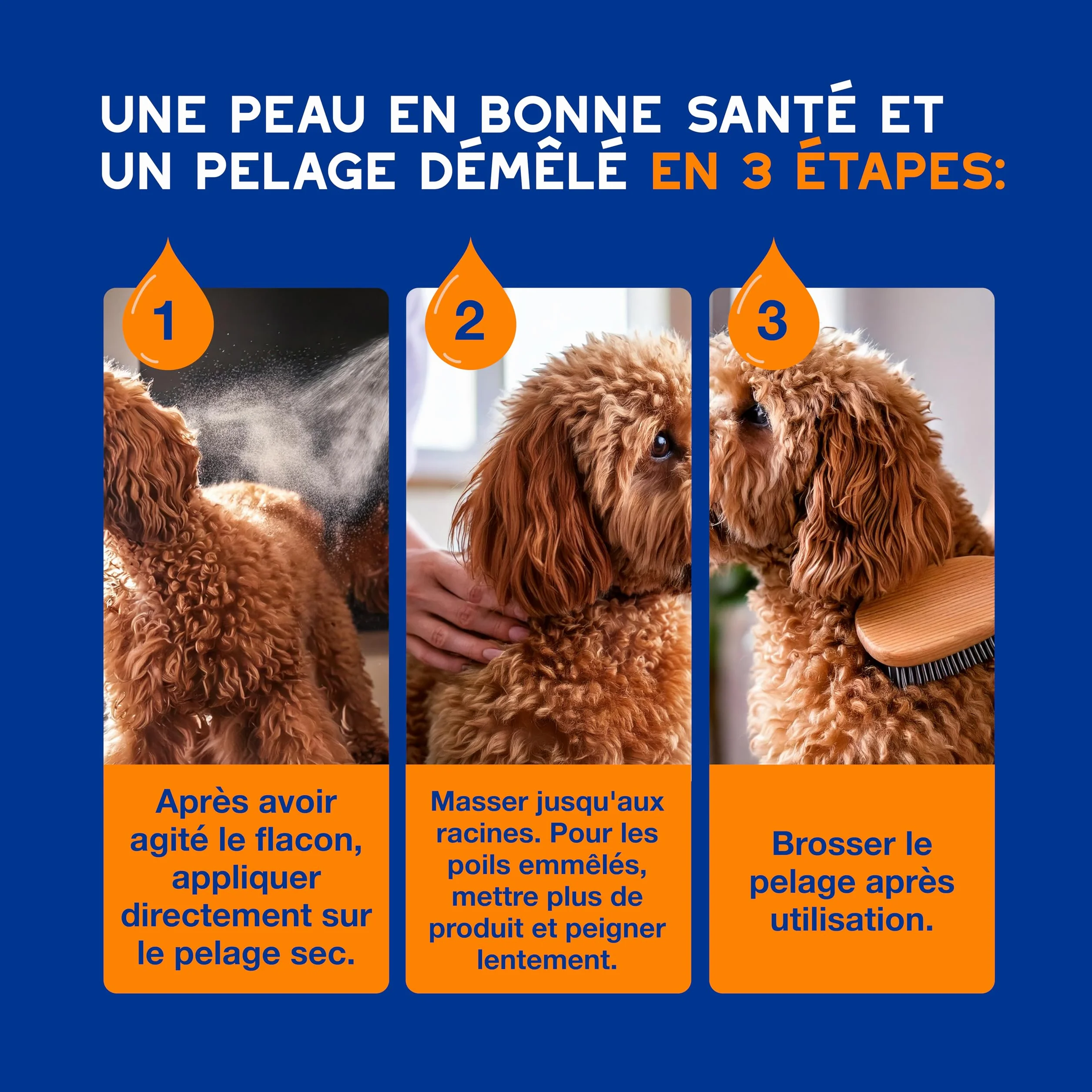 DOUXO Skin & Coat Spa - Ultra-Safe Spray démêlant pour Chiens, 340mL, démêle et nourrit Le Pelage en Toute sécurité, Laisse Le Pelage Doux, Soyeux et sans Noeuds, Formule respectueuse de la Peau.