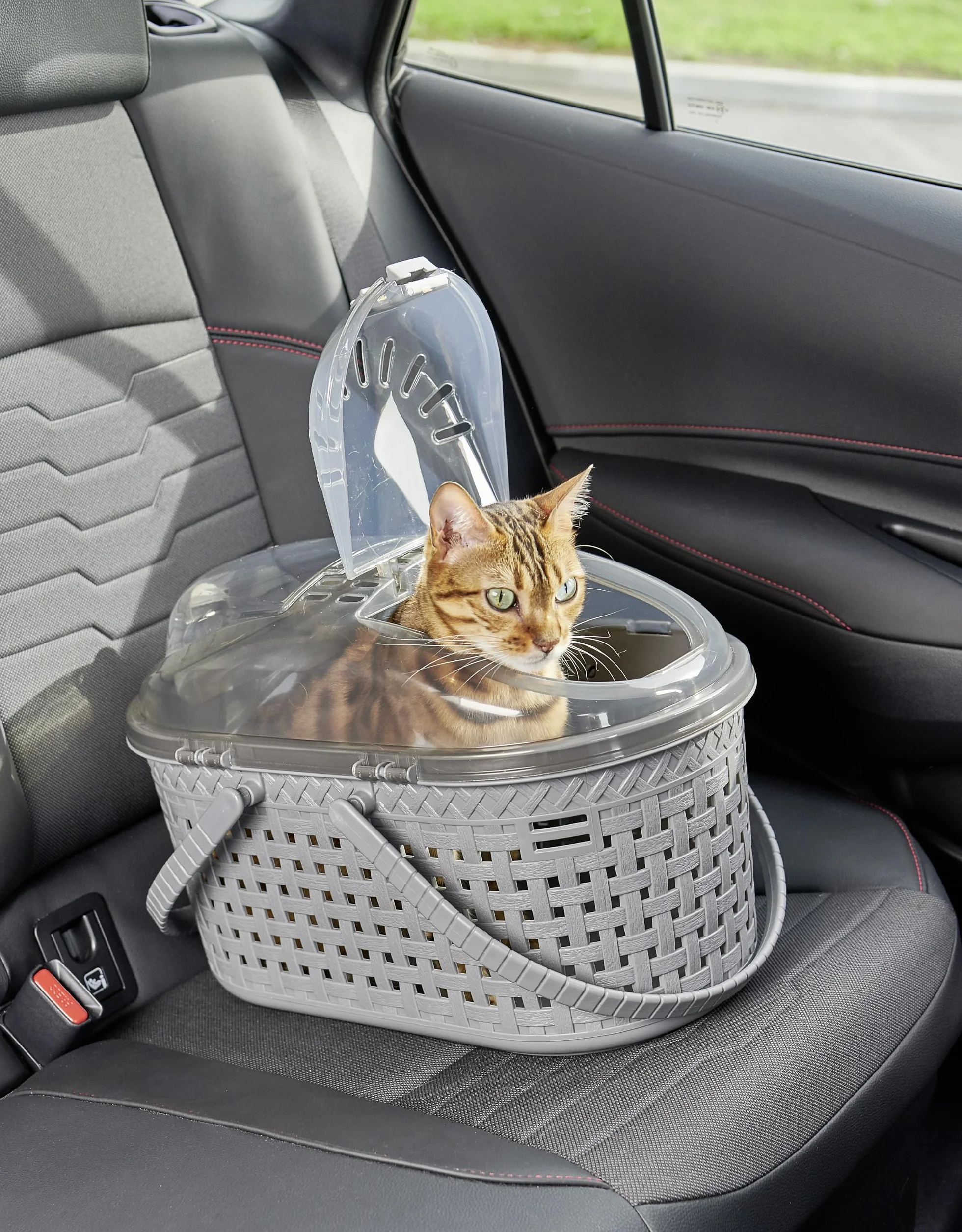Iris Ohyama MPC-450 Cage de Transport Plastique pour Chat Chien L45 x P29 x H28.5 cm Gris