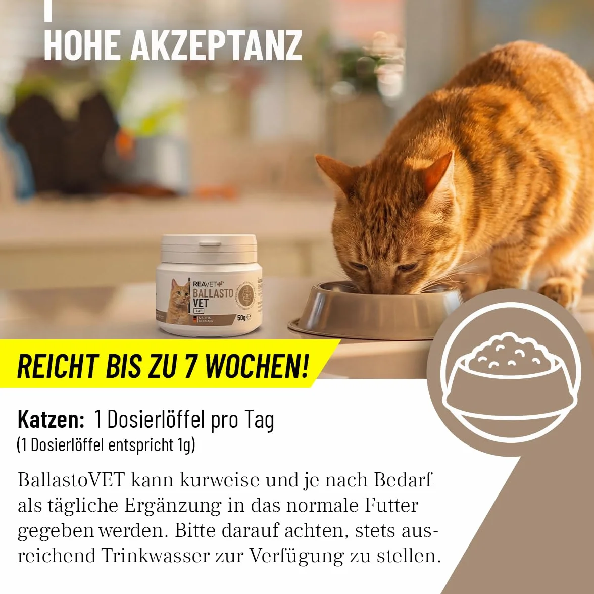 ReaVET BallastoVET pour chat 50 g – Soutien rapide constipation aiguë chronique matières fécales solides aide digestion