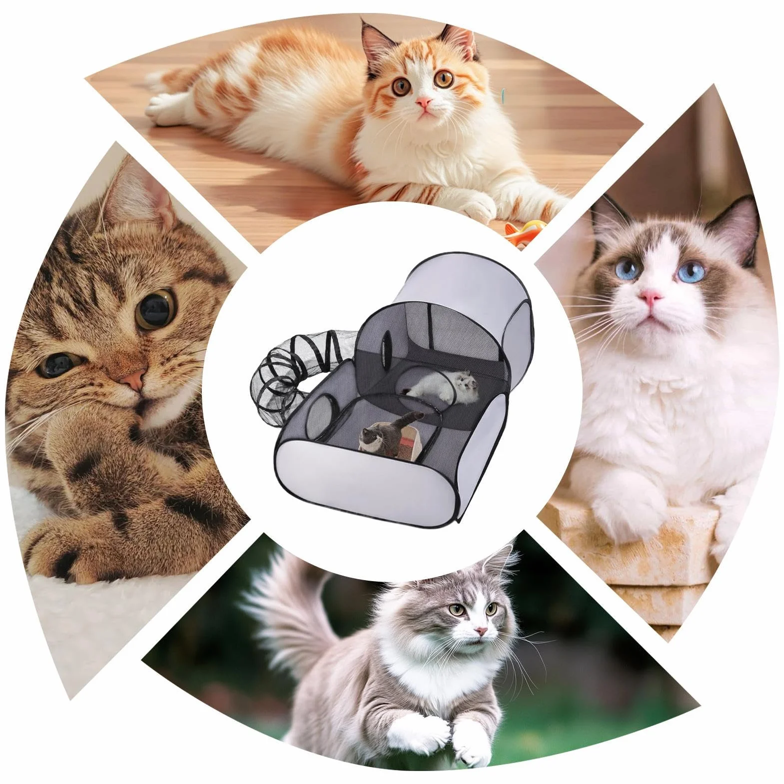 Enclos pour Chats Extérieur Pliable avec Tente de Jeu pour Chaton Chiot Petits Animaux