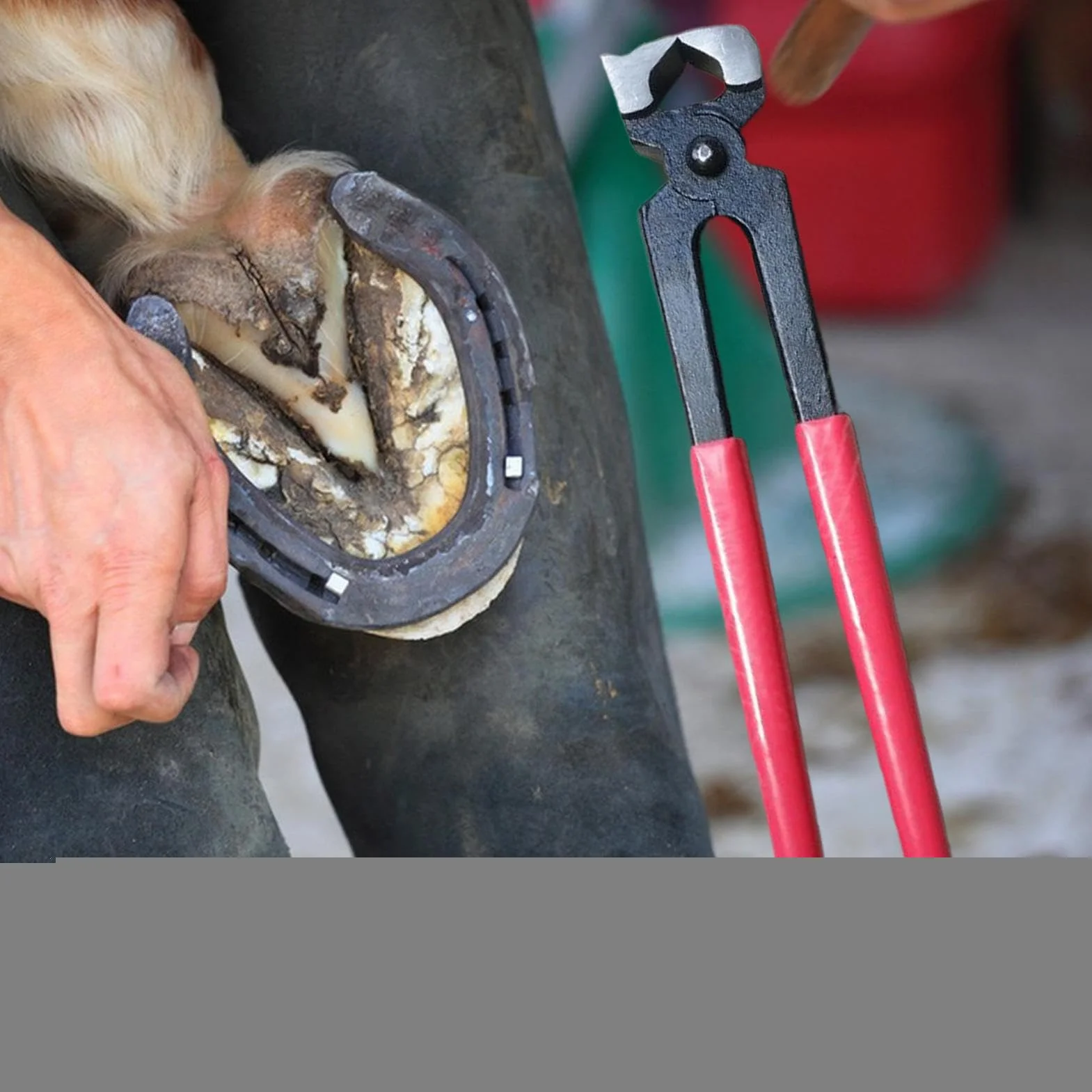 Pinces À Sabot De Cheval, Pince de Maréchal-Ferrant, Pinces à Parer Chevaux Réparation Fer Pince à Tordre Matériel pour Sabots Vache Mouton Ferme Animaux