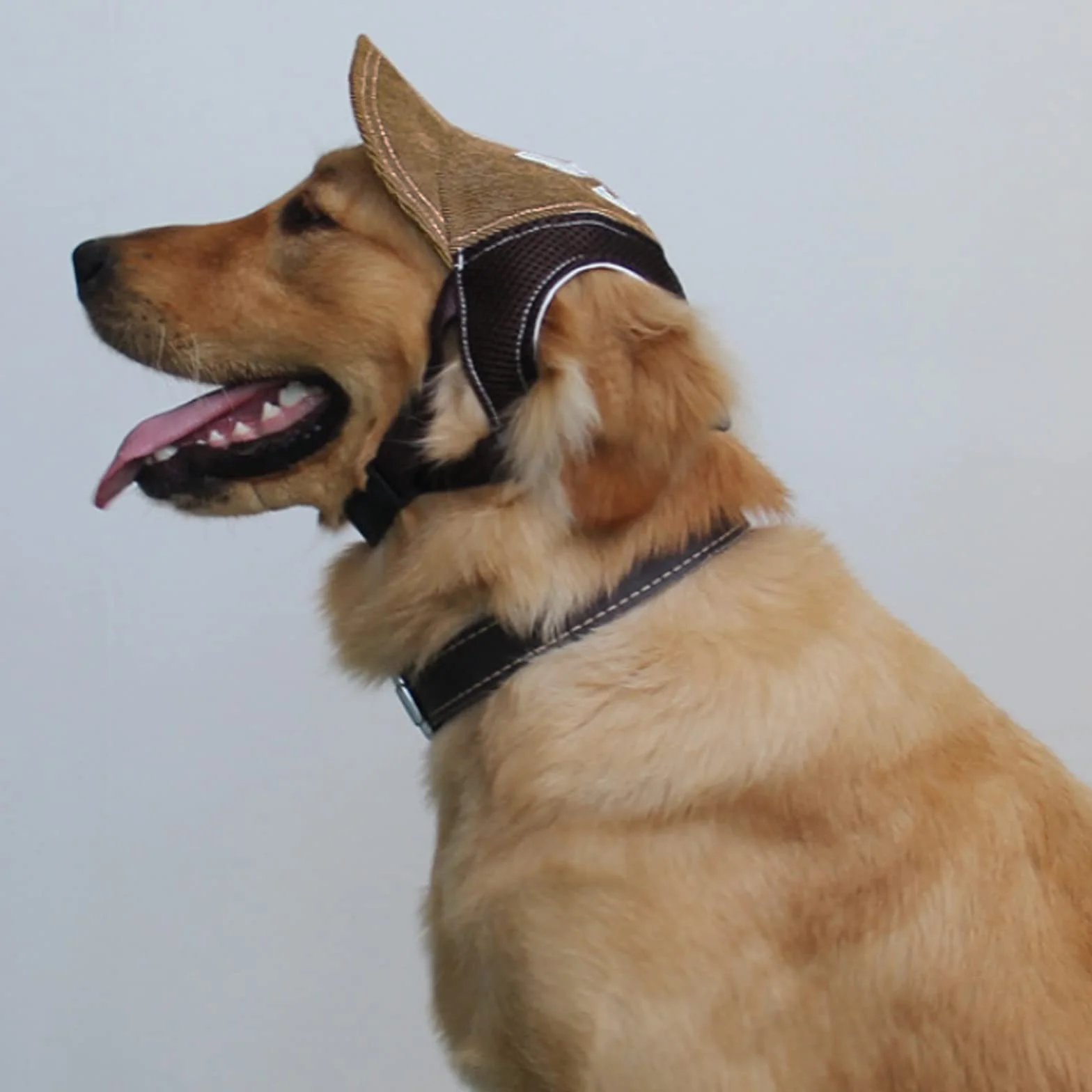 Casquette de Baseball pour Chien Chapeau Soleil Réglable avec Trous d'Oreille Visière Chiot