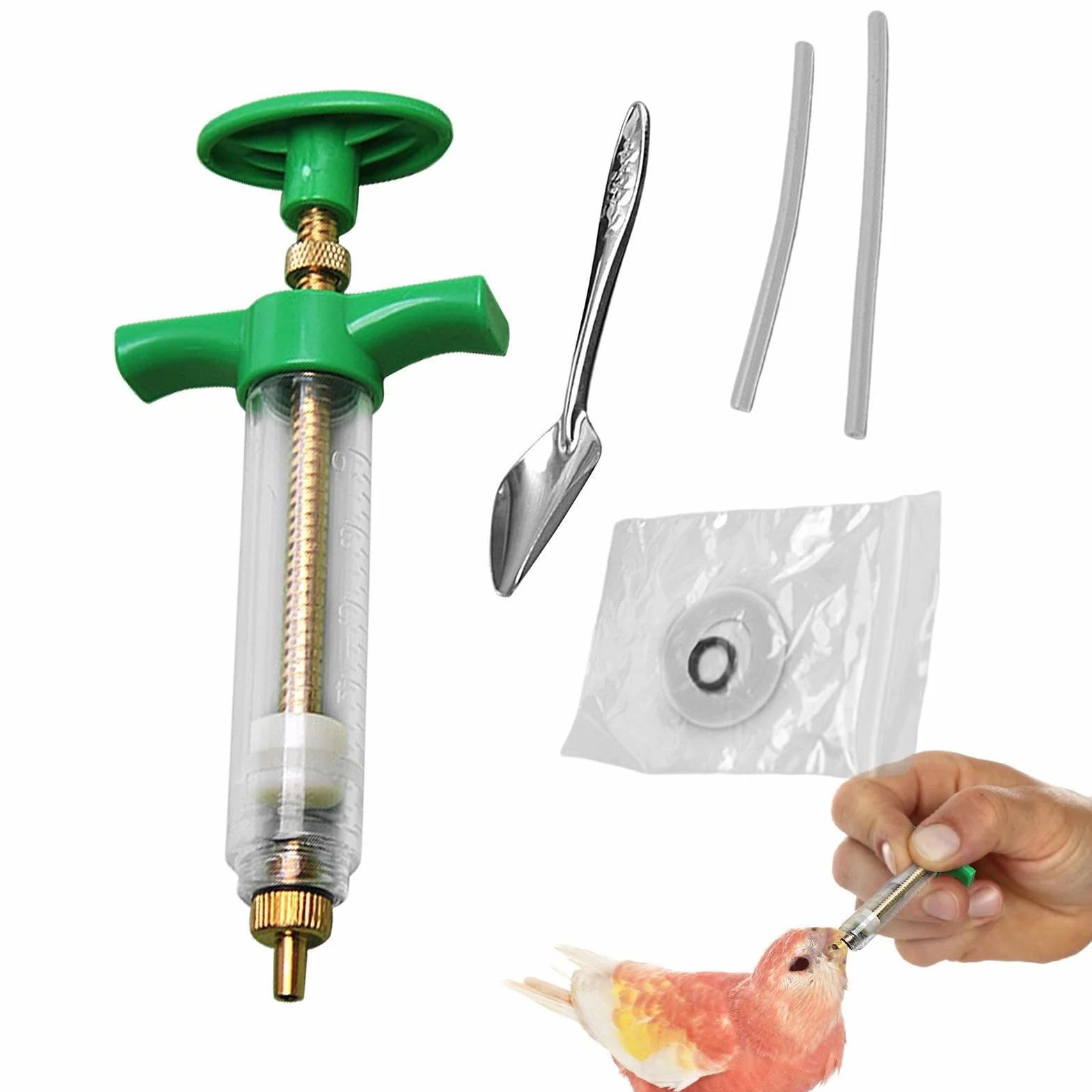 Seringue pour aliments pour jeunes oiseaux avec tuyau souple et cuillère, kit d'injecteur d'alimentation
