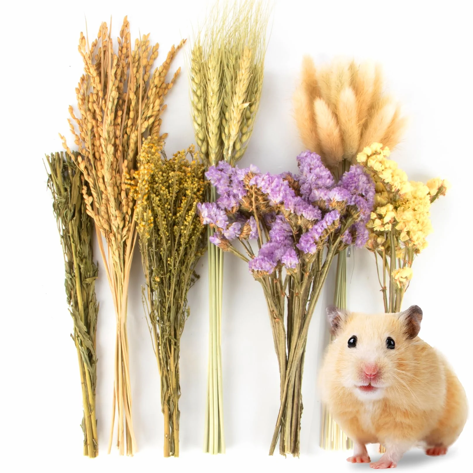 Sukh Lot de 60 sprays naturels pour hamster - Pour hamsters nains syriens, gerbilles, lapins, autres animaux domestiques