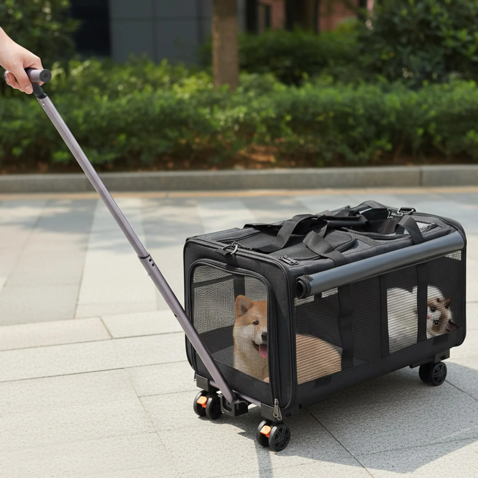 Sac de transport pour chat avec deux compartiments et roulettes, pliable et amovible, pour 2 chats, idéal pour les voyages (noir)