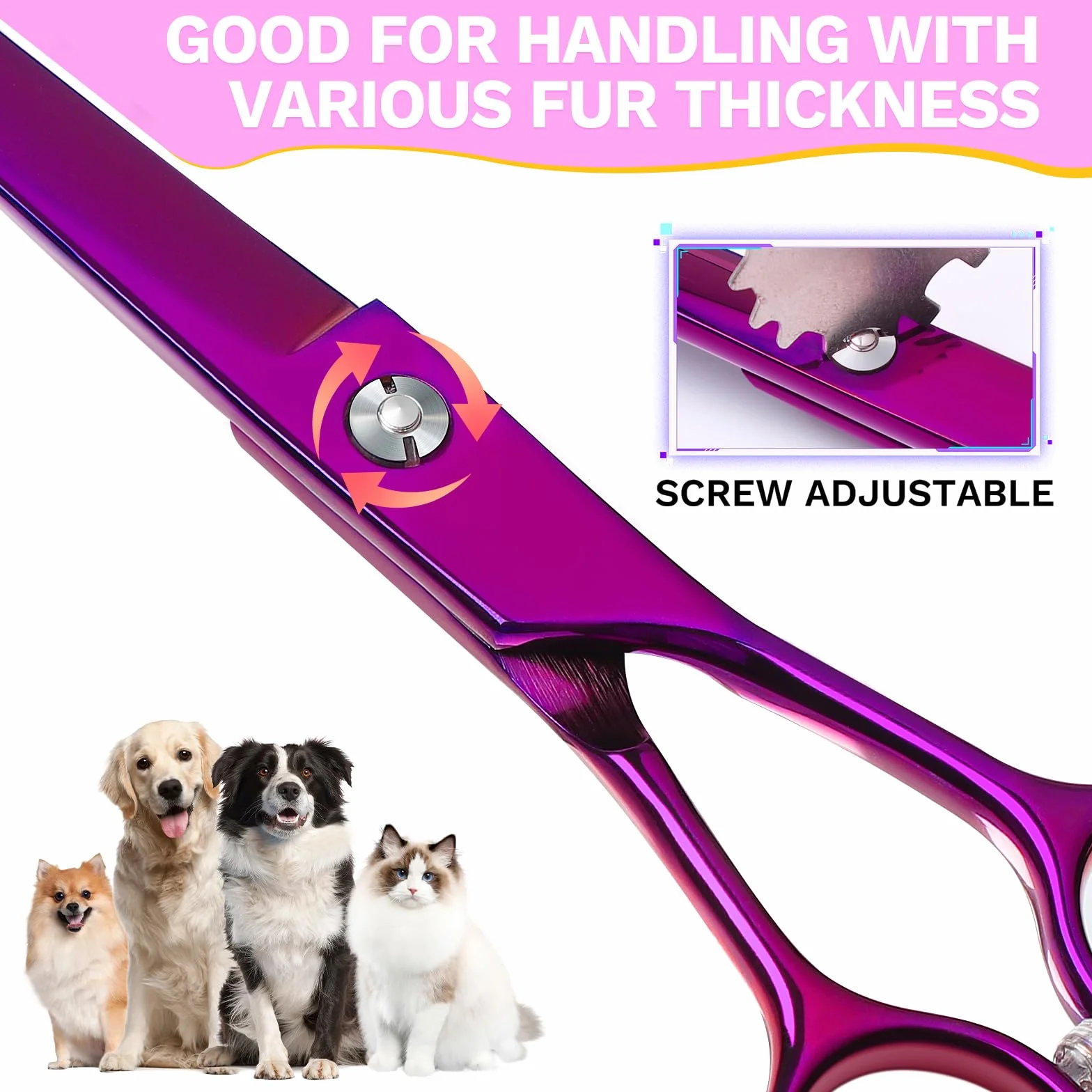 JASON Ciseaux Professionnels Courbes pour Chiens et Chats - 7,5" à Fourrure pour Animaux de Compagnie (Courbes Vers le Haut, Violet)