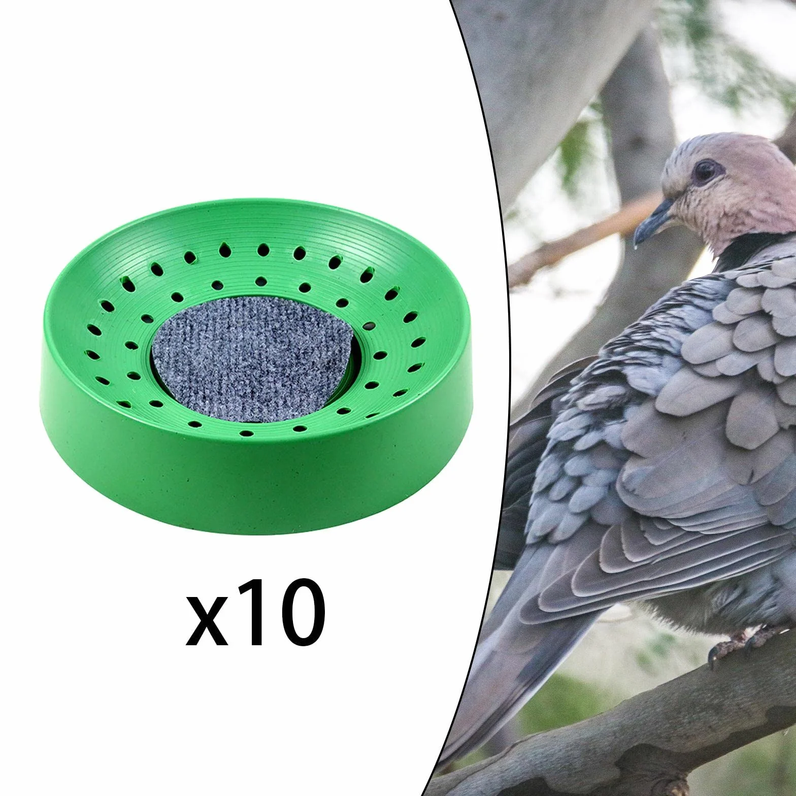 Nid Pigeon Plastique 10 Pièces Fournitures Élevage