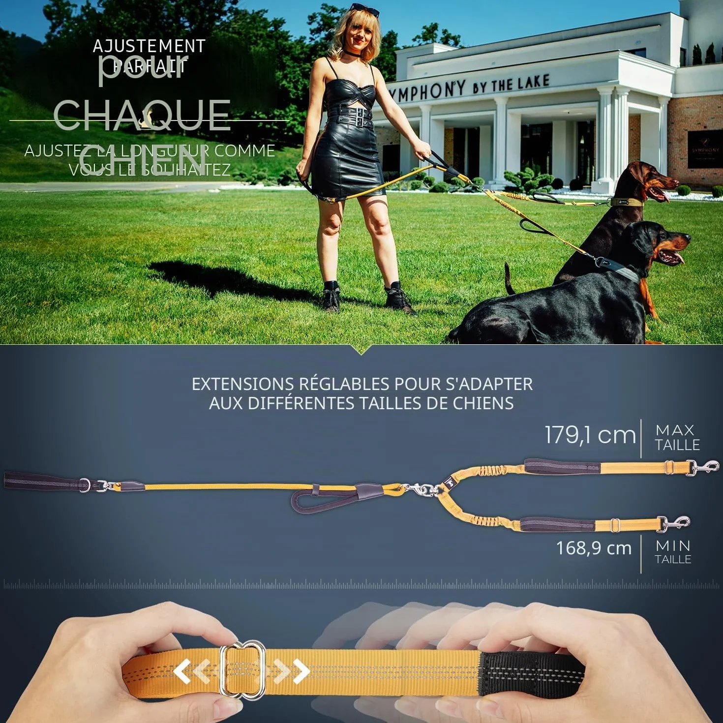 Laisse Double de qualité supérieure pour Deux Chiens - Absorption des Chocs et Anti-Traction - Double Laisse pour Chiens de Taille Moyenne et Grande avec Double Attache réglable pour 2 Chiens