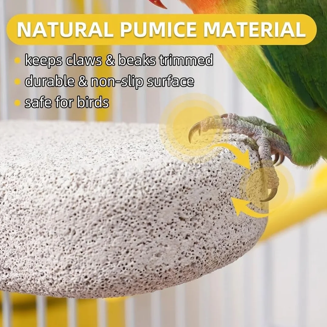 Lot de 2 Supports pour Os de Seiche Oiseaux, Pince Porte-Nourriture pour Cage, Accessoires Perruches Canaris Perroquets