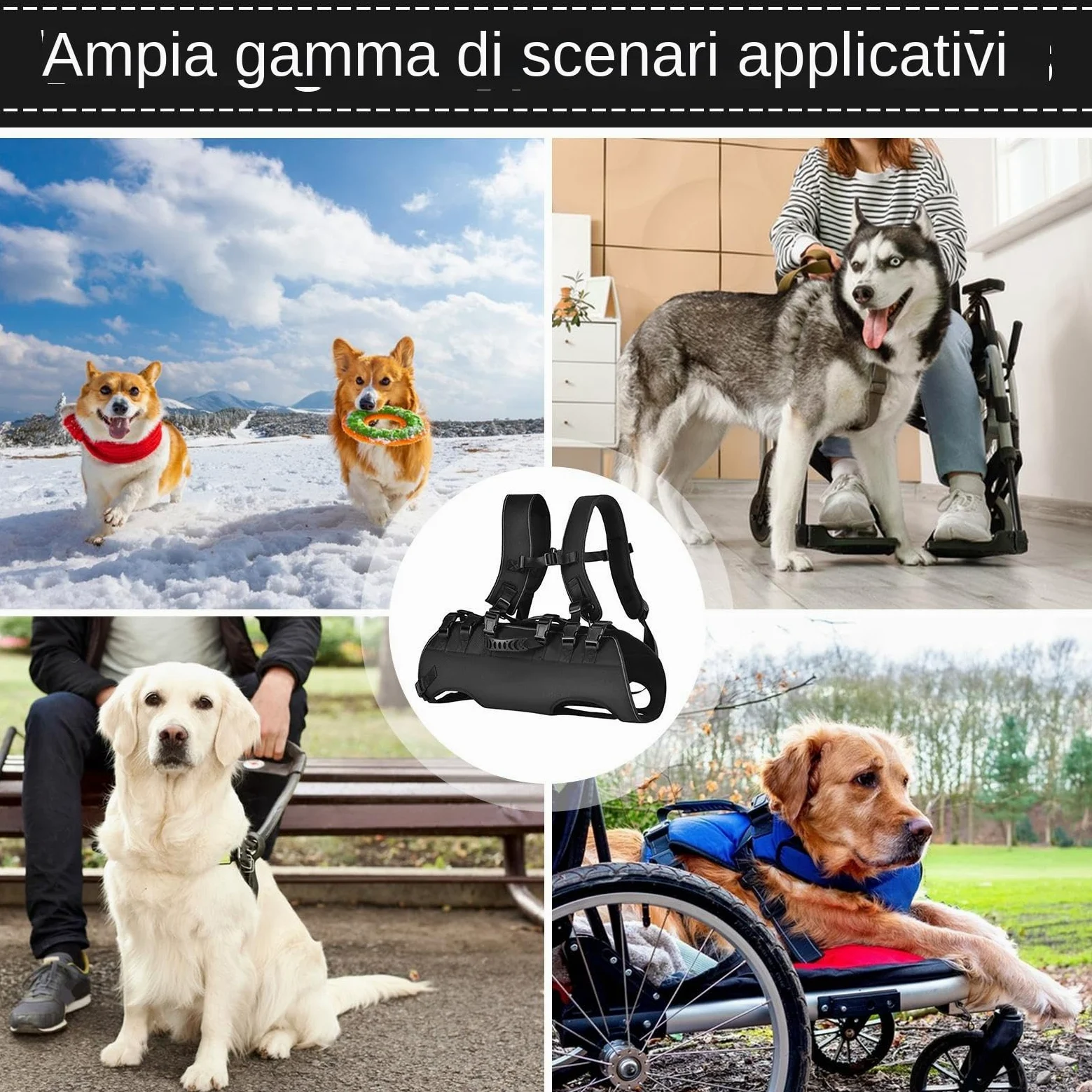 Câblage de support de chien professionnel pour la mobilité de levage | harnais pour animaux de compagnie pour assistance à la récupération | Vecteur thoracique réglable pour grands canins | Oxfo