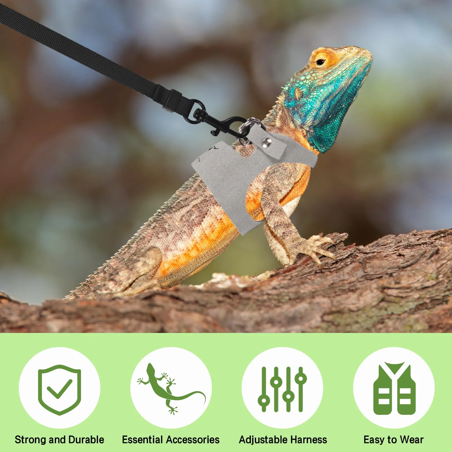 Ensemble harnais et laisse pour dragon barbu - 3 tailles ajustables - Gilet en cuir d'entraînement et de promenade pour lézards - Corde de traction anti-évasion pour petits reptiles