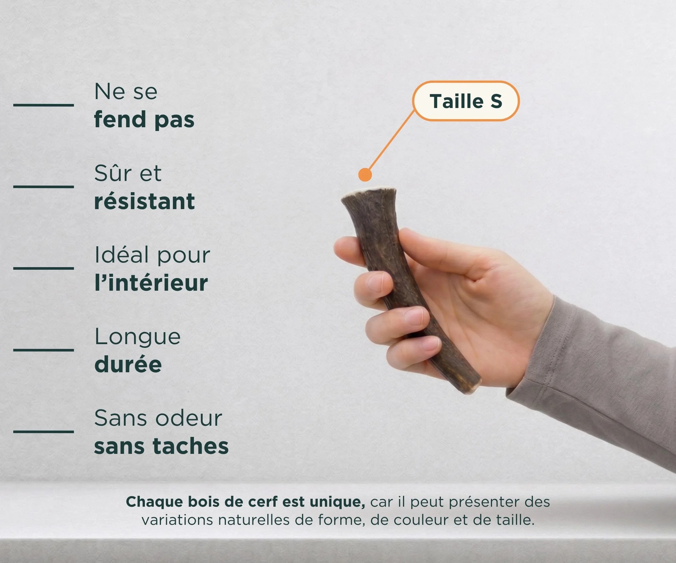 Bois de Cerf pour Chiens 100% Naturel Taille S Corne Durable Résistante Réduit Tartre Plaque Riche Calcium Protéines Inodore Fabriqué Europe