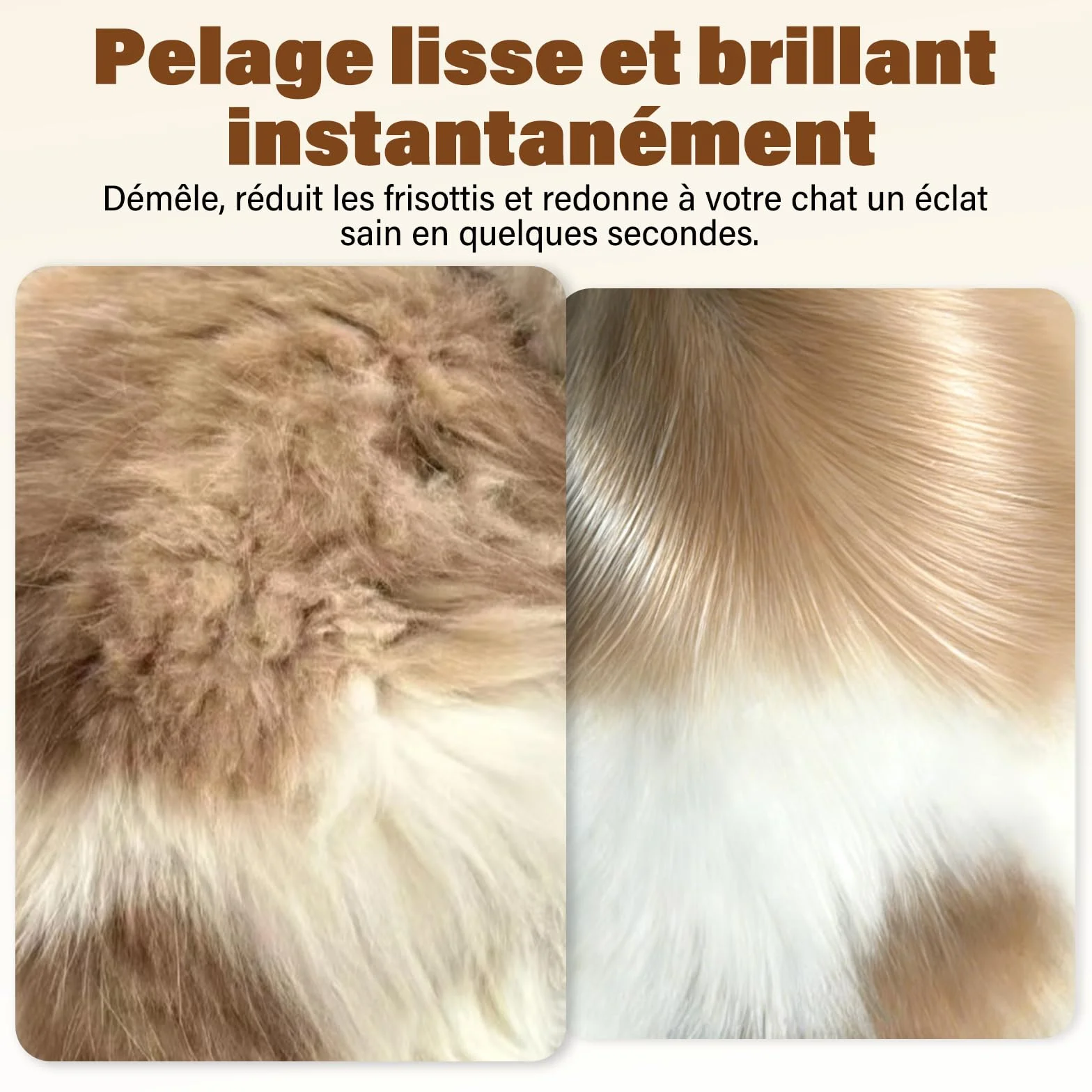 Shampoing Sec pour Chats 200 ML Parfum Noix de Coco pH Neutre
