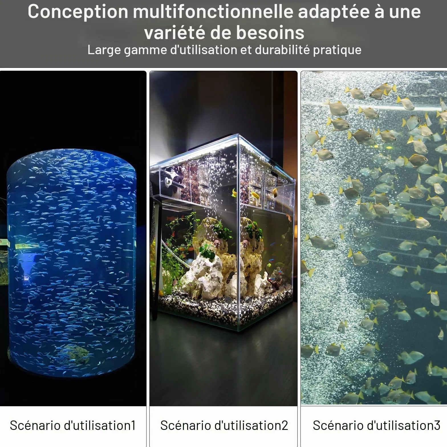 Filtre Intérieur d'Aquarium 60 L Avec Pompe - Système de Filtration Pour Crevettes