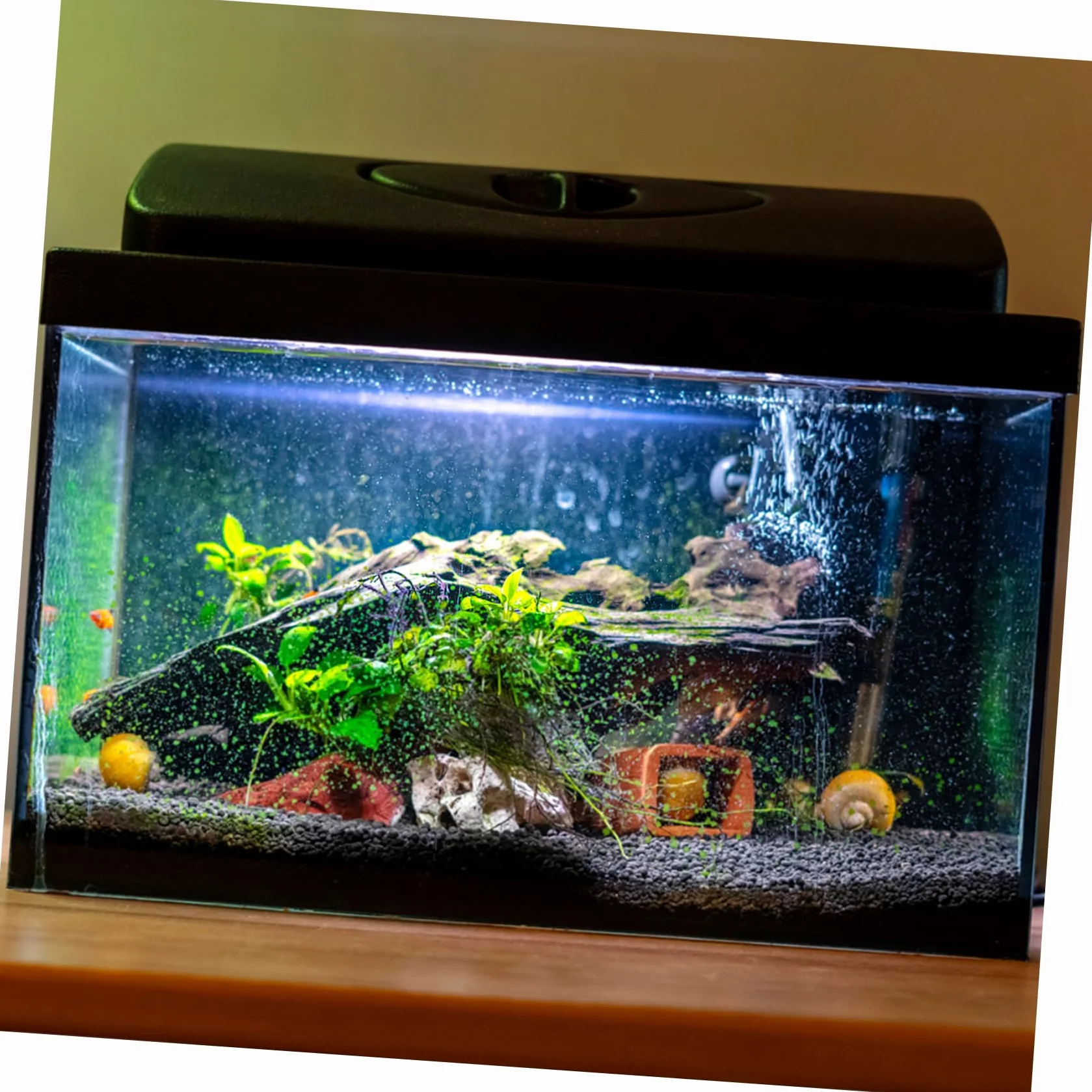 SUPVOX Tapis de Fond pour Aquarium 40x30x0.60cm Tapis Antidérapant en Mousse Épaisse Isolation Thermique Nivellement Réservoir Poissons