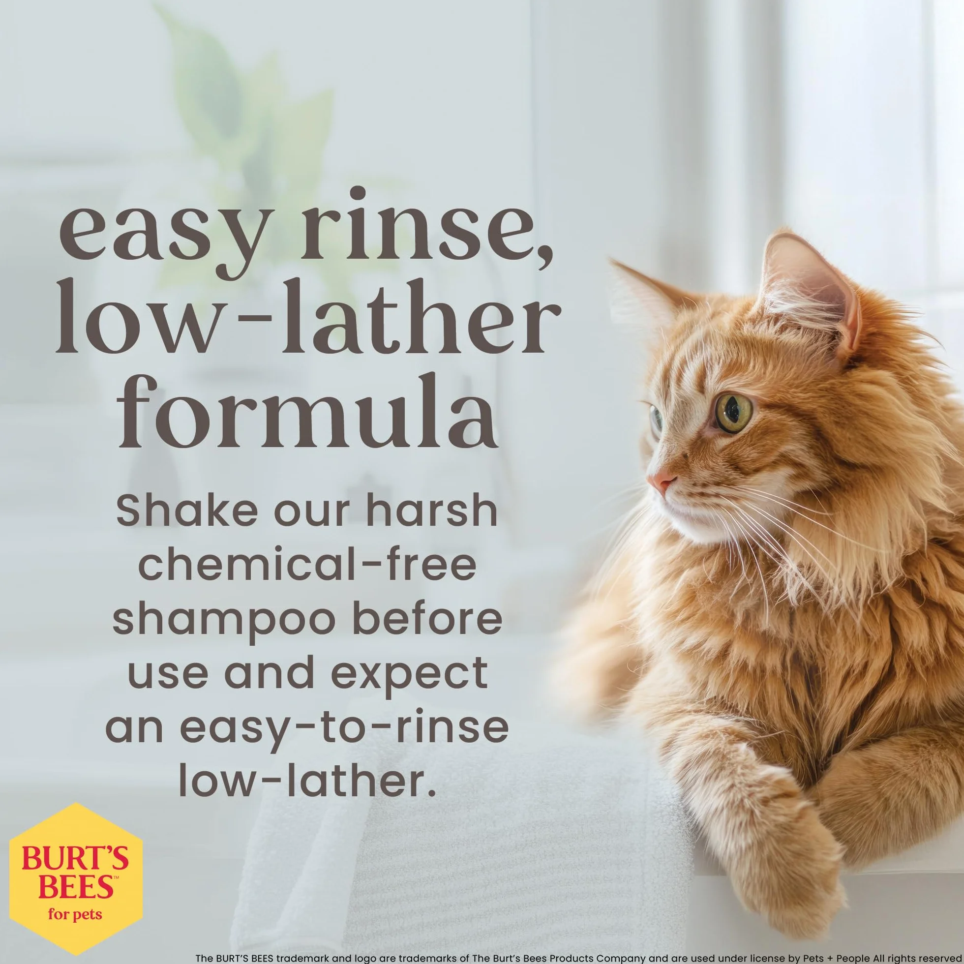 Burt's Bees Shampooing hypoallergénique pour chat Soin naturel
