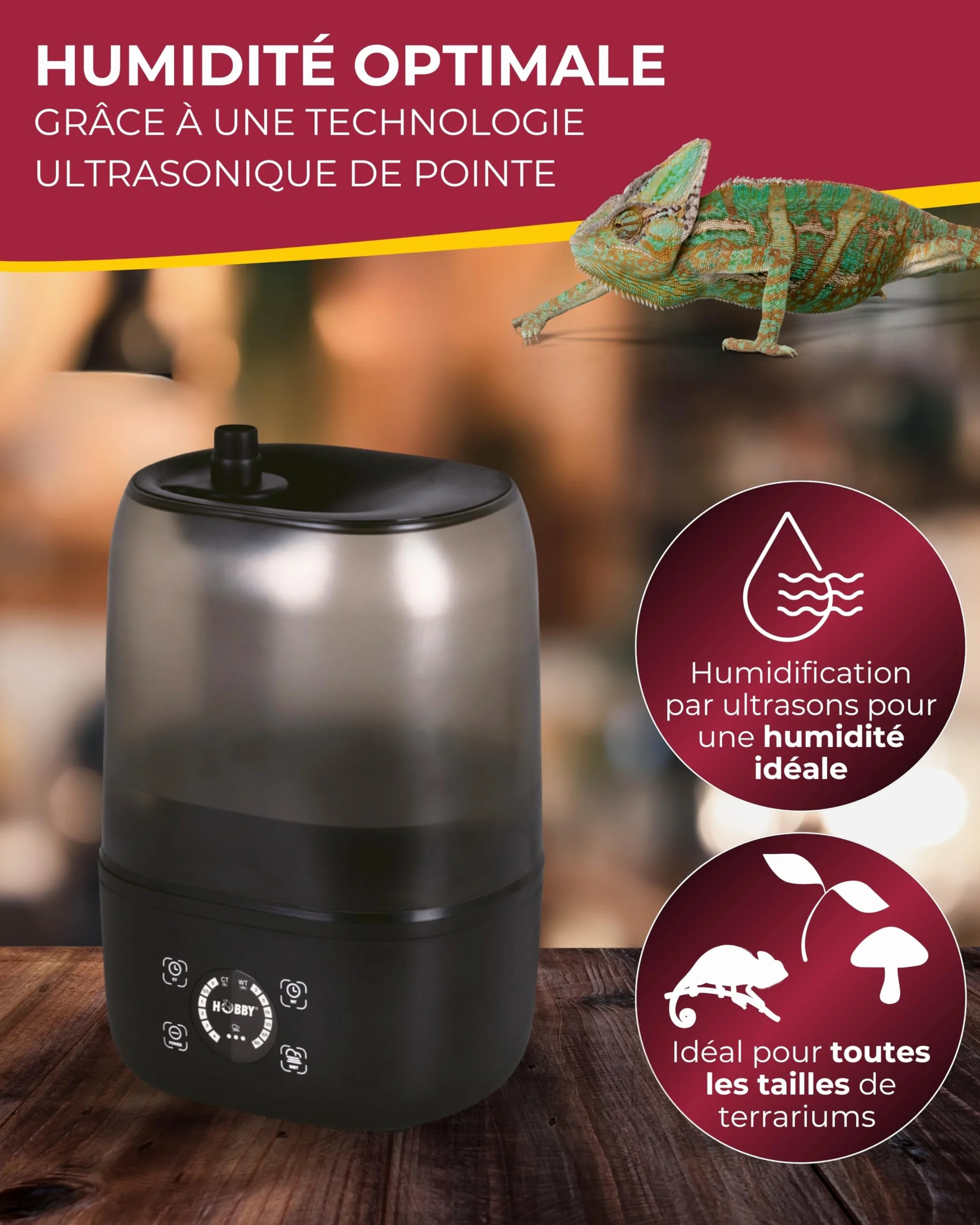 HOBBY Terraristik Système de brumisation numérique pour terrariums 4L