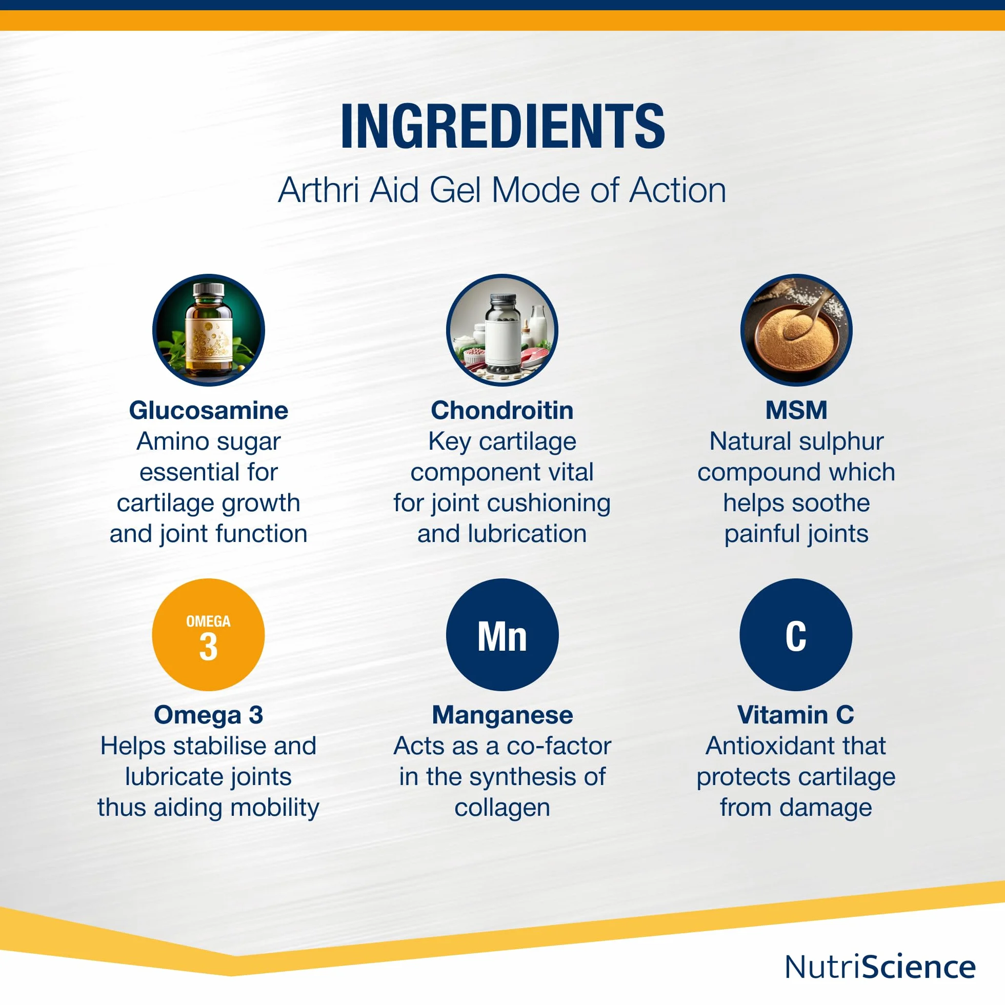 NutriScience ArthriAid Omega Cat Gel Saveur saumon complément articulations chats 50 ml glucosamine chondroïtine MSM oméga 3