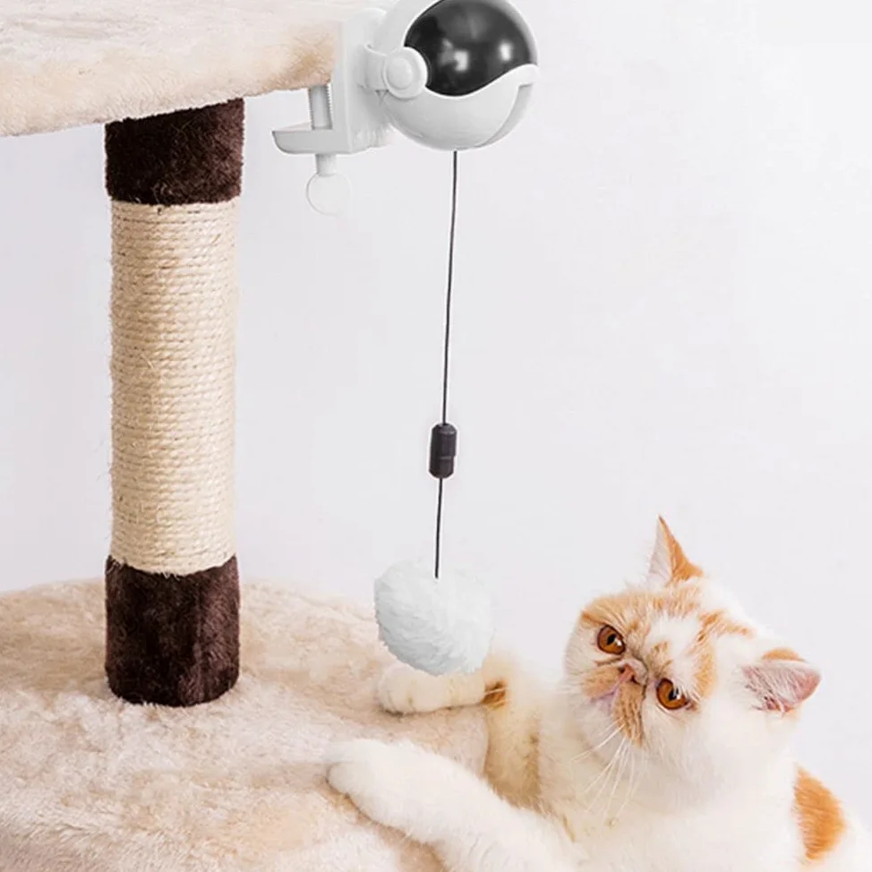 Jouet pour chat interactif GANDUNQIjouet pour chat | jouet de levage Yo-Yo | ballon rotatif électrique à levage automatique | jouets drôles pour animaux de compagnie | rose/blanc (sans batterie)-white