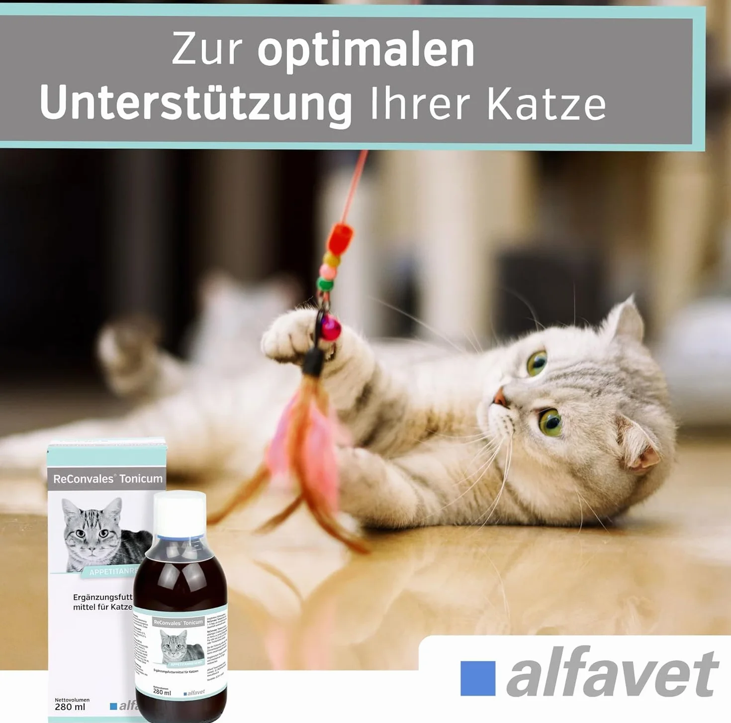 alfavet ReConvales Tonicum Chat, complément alimentaire diététique pour convalescence et poids insuffisant, 12 x 45 ML