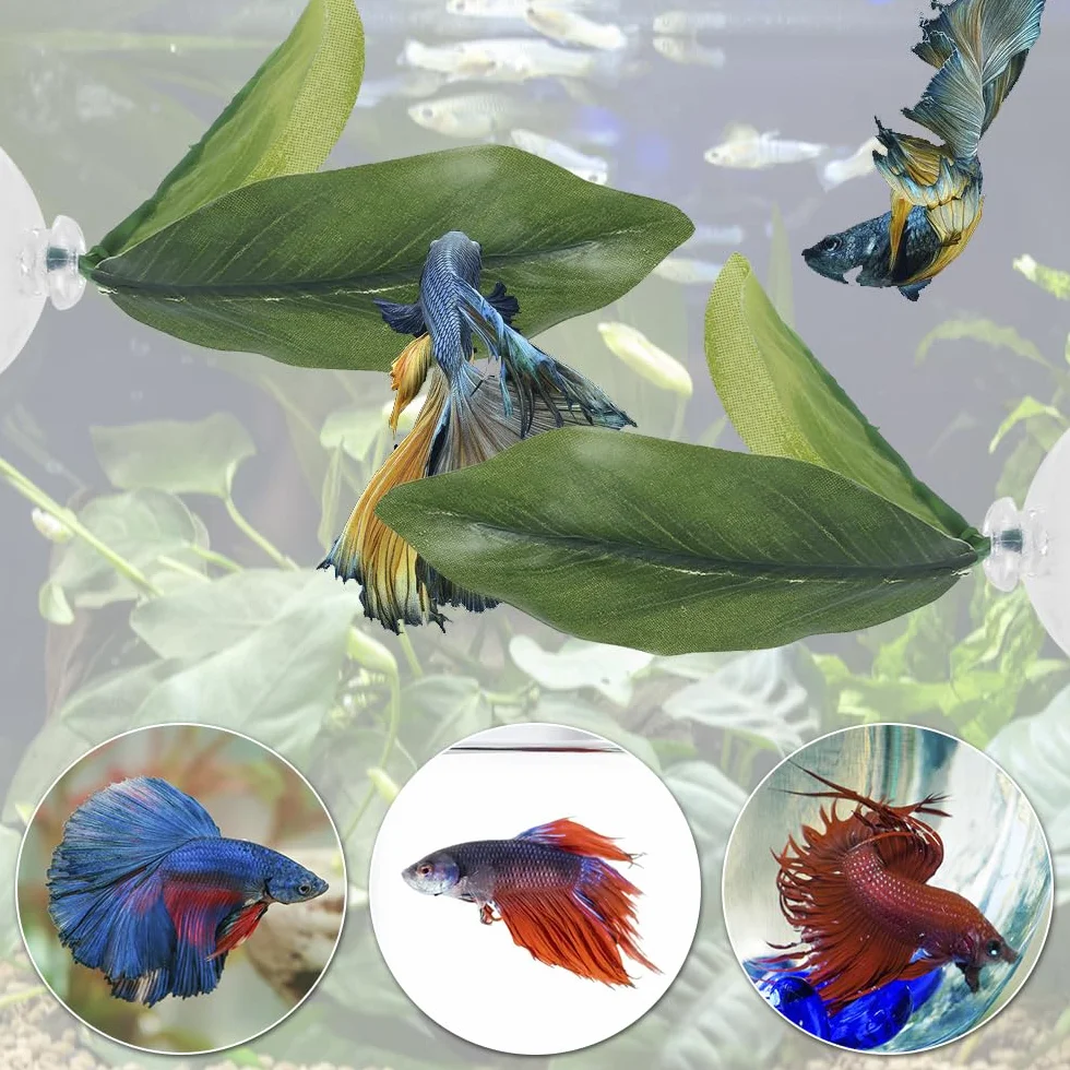 Feuille Lit Betta Coussin Feuilles Plantes d'aquarium avec Ventouse Décorations pour Simuler l'habitat de Repos des Poissons