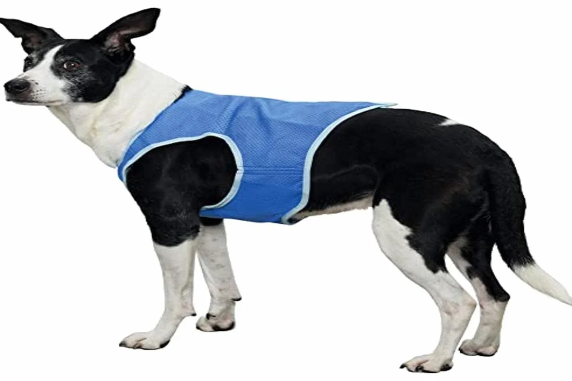 Trixie Veste Rafraîchissante pour Chien Taille S Bleu