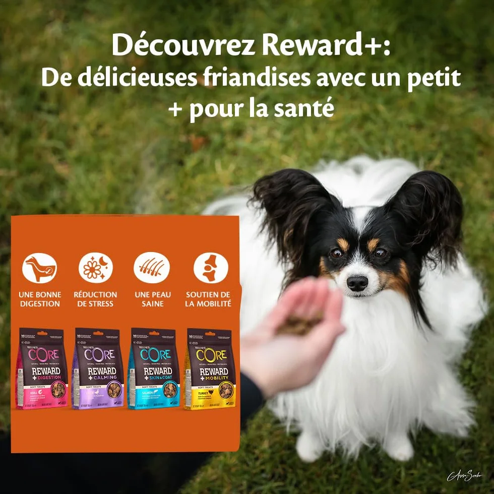 Wellness CORE Reward+ Peau & Pelage 170g Saumon Friandises pour Chiens sans Céréales Hypoallergénique Riche en protéines