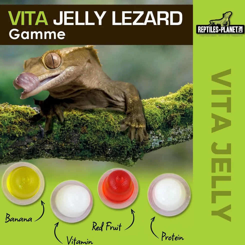 Reptiles Planet Vita Jelly Banane pour Lézard 10 pcs