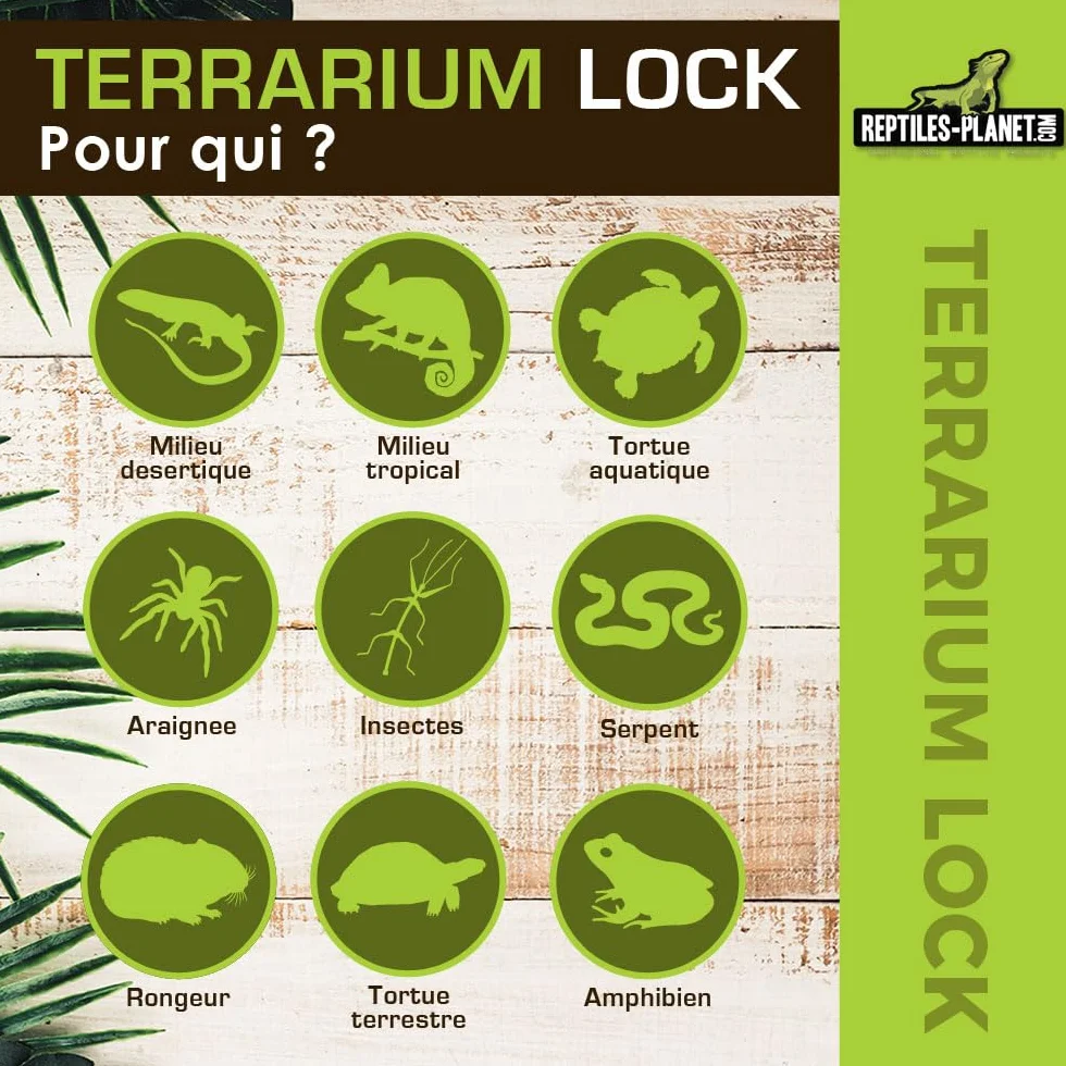 Reptiles Planet Serrure pour Terrarium