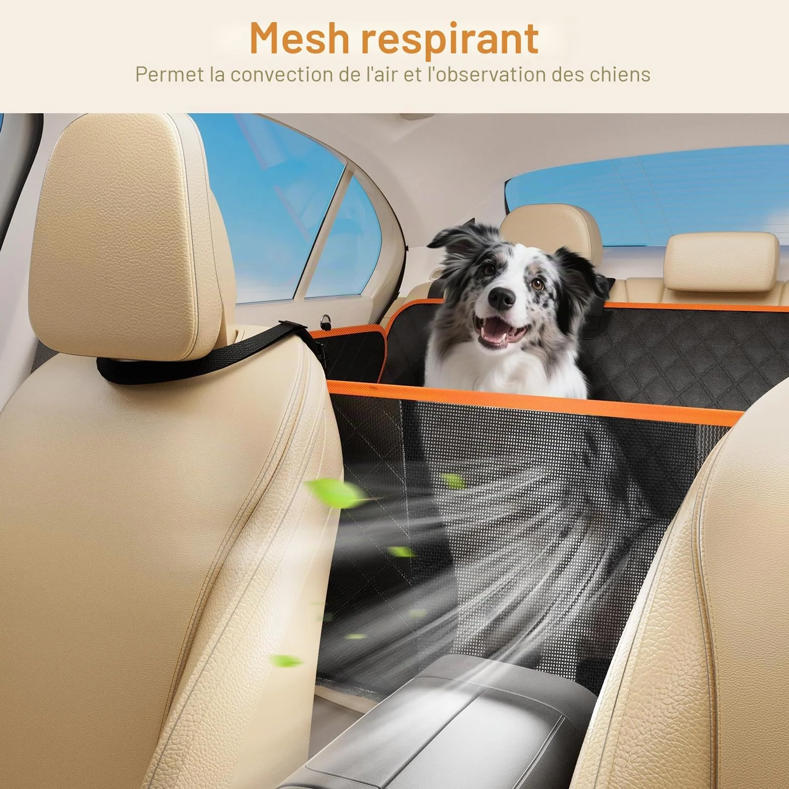 Housse Voiture Chien Pecute 132x62 cm Panneaux durs Support 150 kg Couverture Complète Siège Arrière