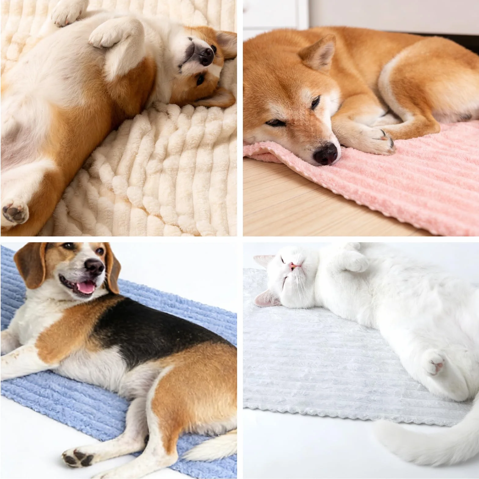 Couvertures pour Animaux en Polaire Corail, Couverture Chien Chat Lavable en Machine, Imperméable et Anti-Poils, 4PCS
