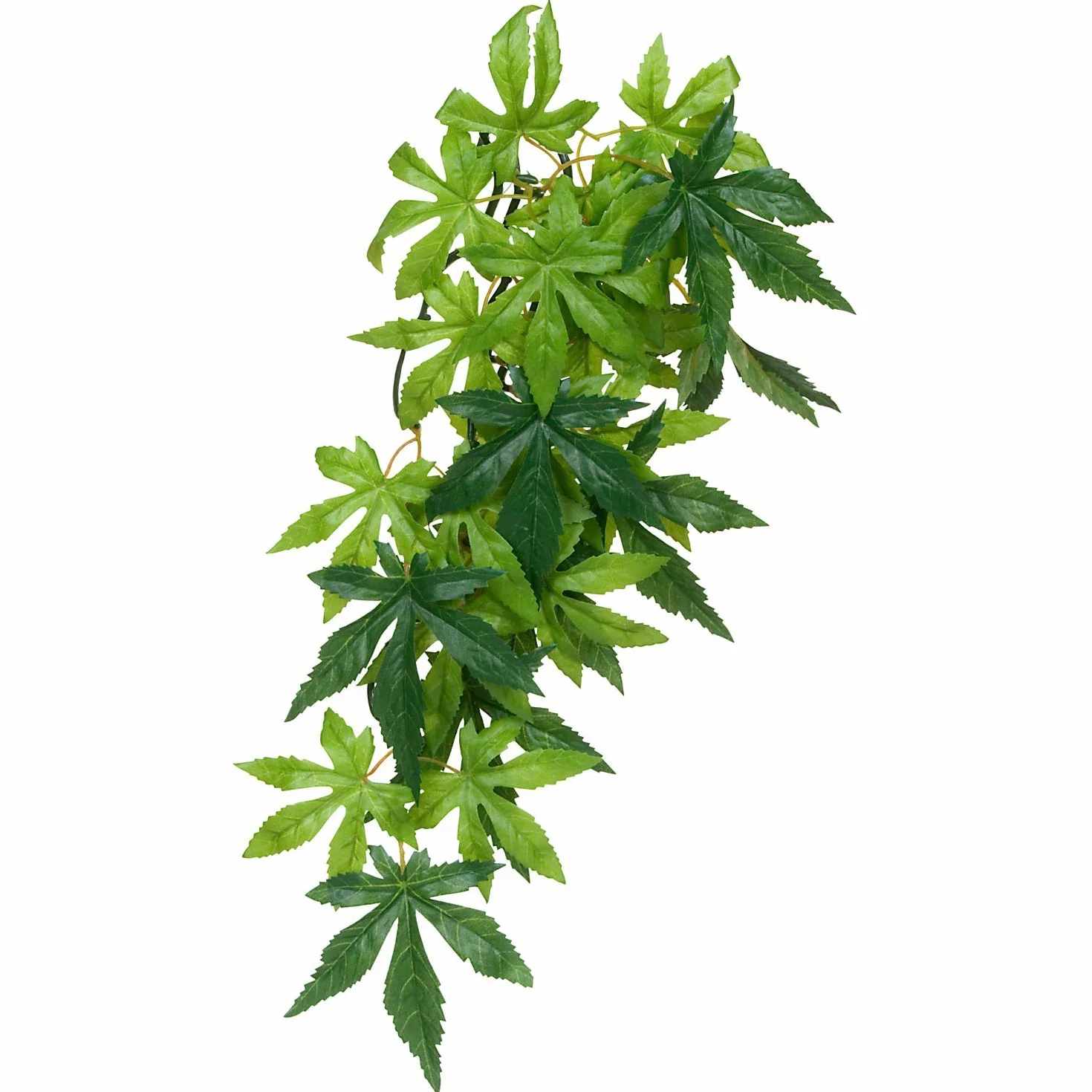 Exoterra Décoration Ficus Plante Moyen Modèle pour Reptiles et Amphibiens