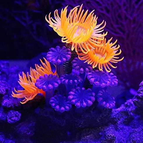 Corail Artificiel Anémone Lumineuse Silicone Décoration Aquarium