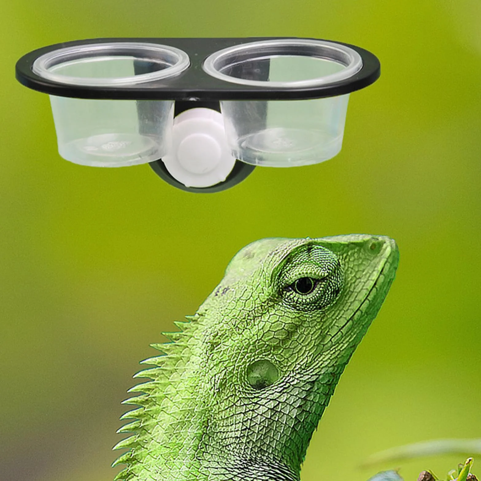 Bol Alimentation Gecko Reptile Feeder Ventouse 32 Tasses Interchangeables