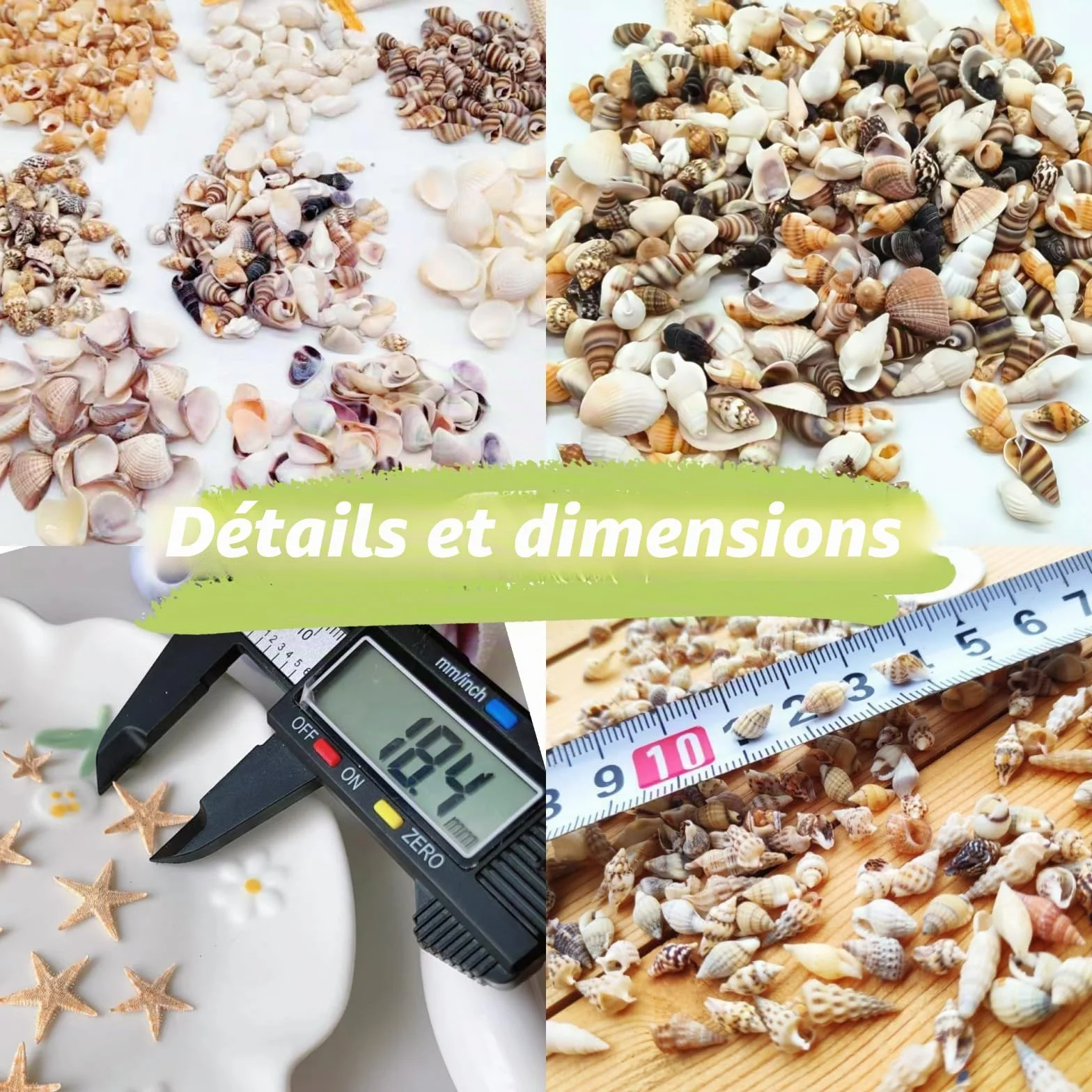 1200 pièces coquillages de mer et 10 étoiles de mer - Mélange coquillages plage spirale pour aquarium vase décoration fête thème plage