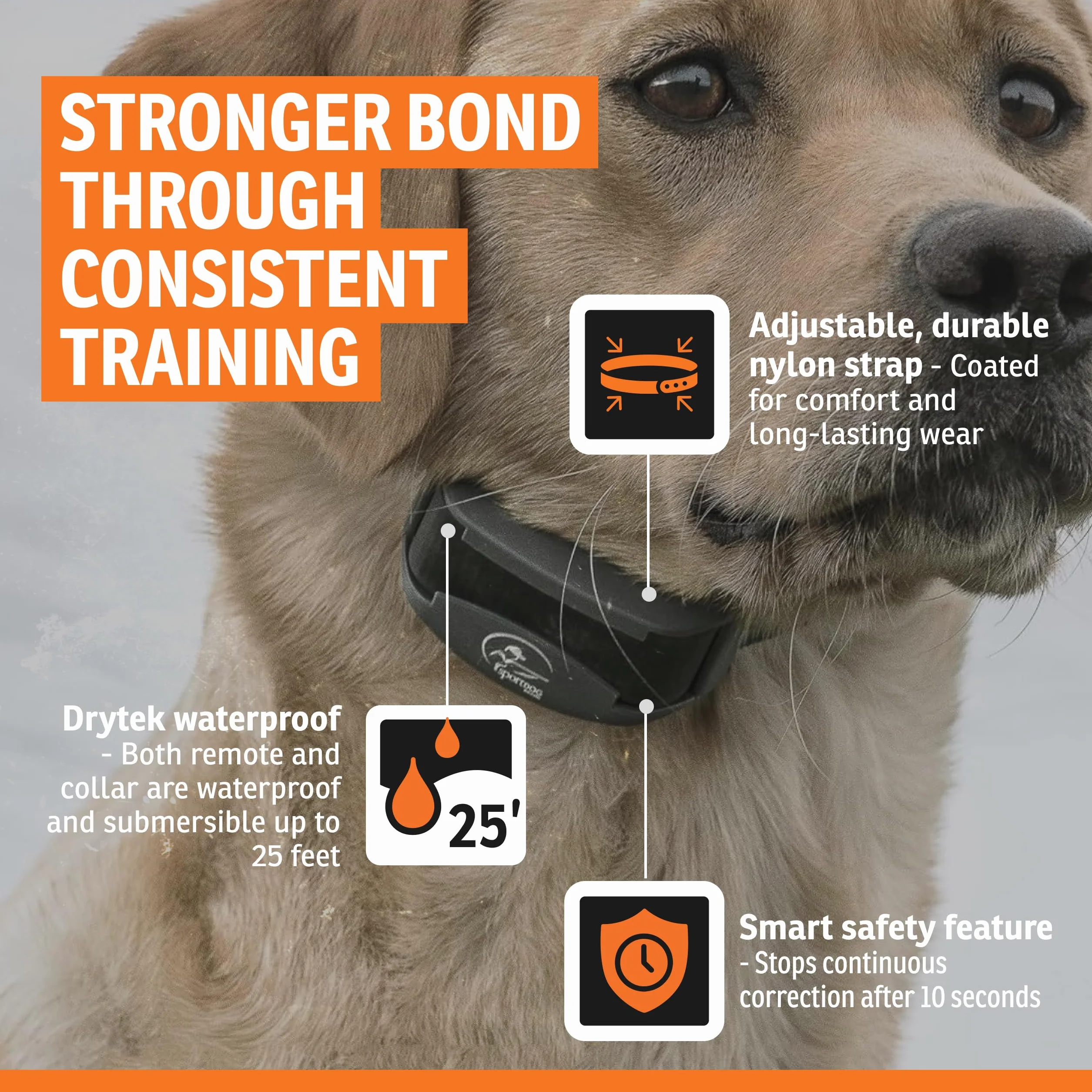 SportDOG - Collier de Dressage pour Chien avec Télécommande SportTrainer, Submersible, 10 Niveaux de Stimulation Statique, Vibration et Signal Sonore - Rechargeable - Portée 800 m