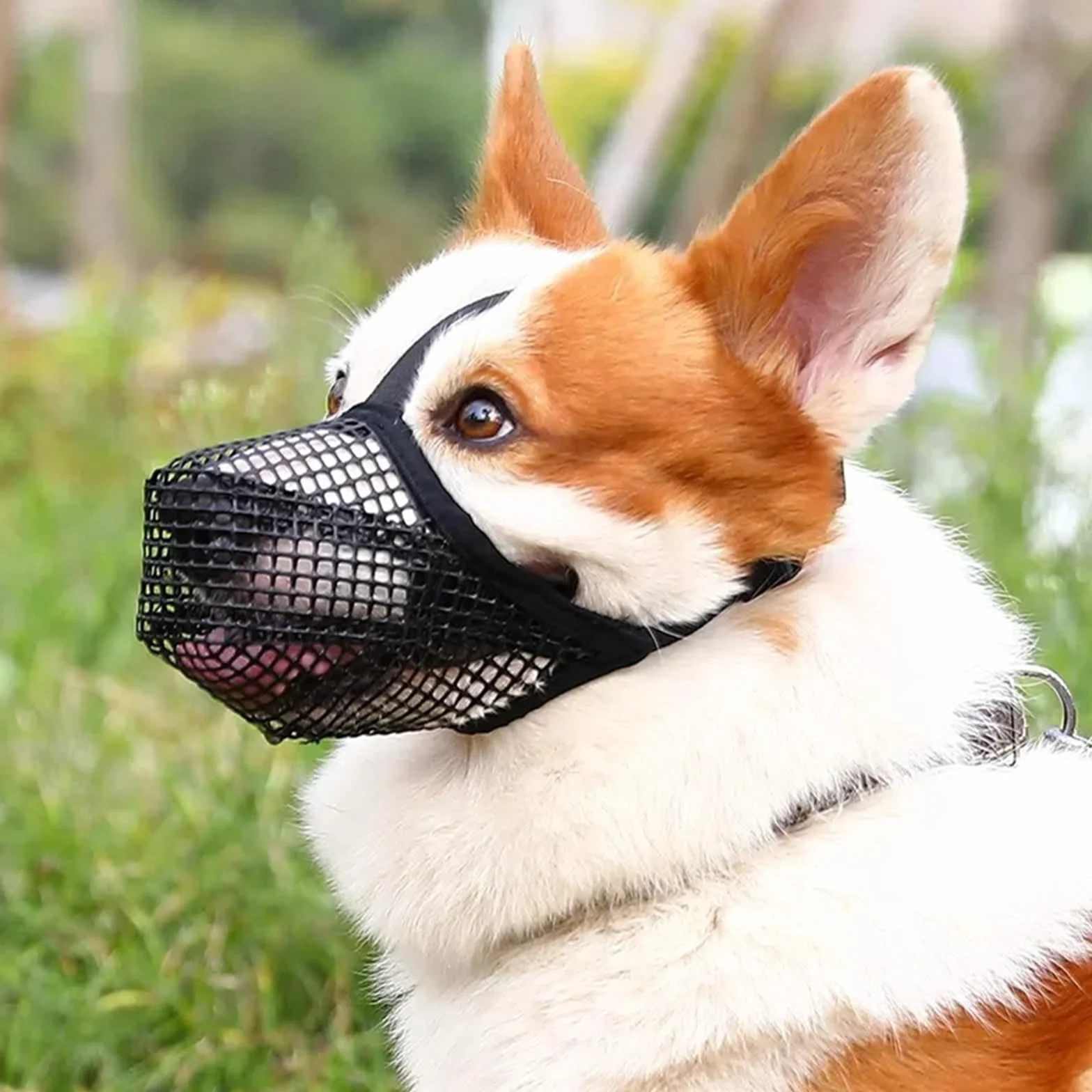 Museliere Anti Intoxication Chien (M) Muselière Chien Réglables Masque Respirant pour Animaux Prévenir L'ingestion Accidentelle pour Attraper Les Morsures Les Lécher La Mastication