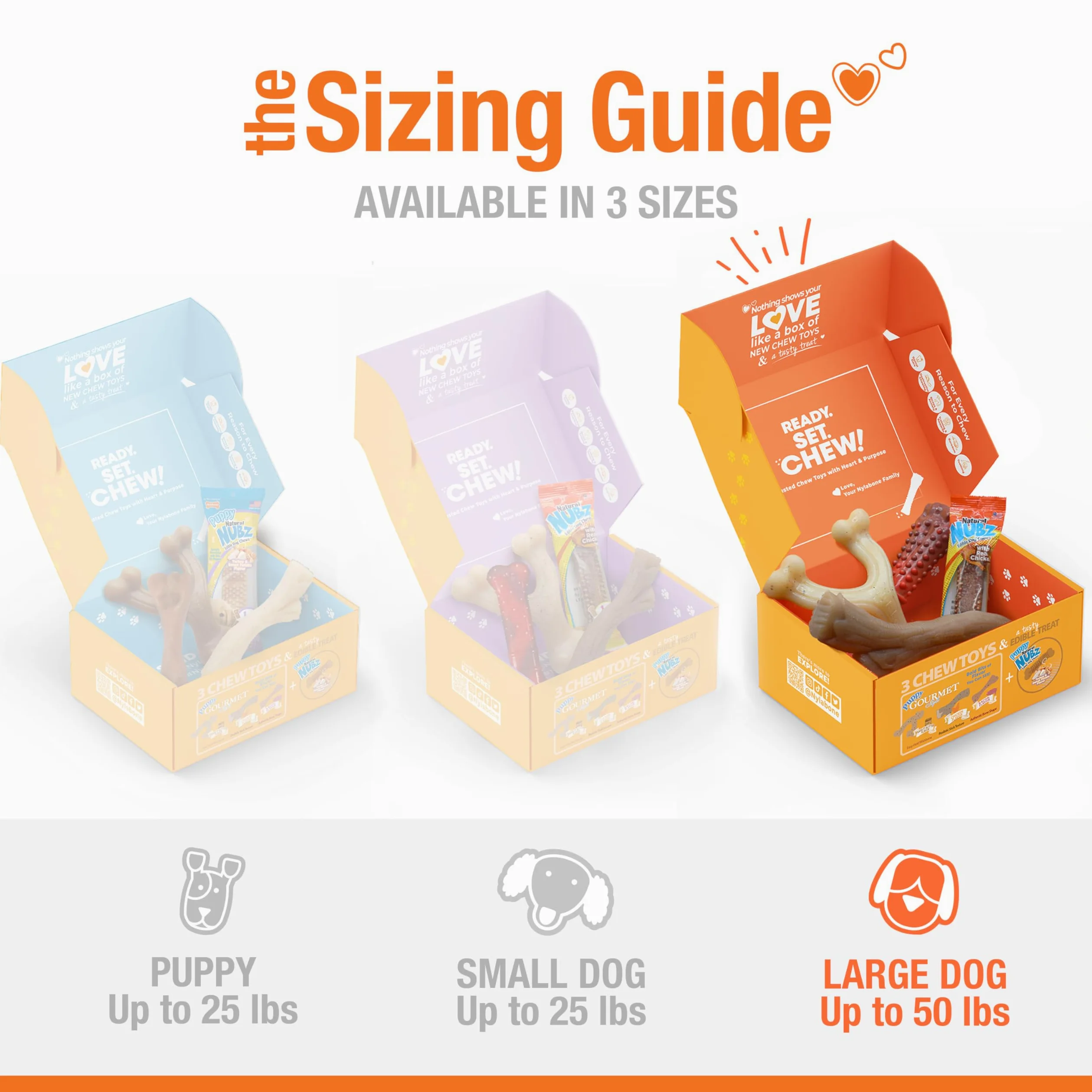 Nylabone Coffret Cadeau de Vacances pour Chiens de Grande Taille, Comprend 3 Jouets à mâcher Solides et 1 friandise pour Chien, Cadeaux pour Chiens, Grand/géant (4 pièces)