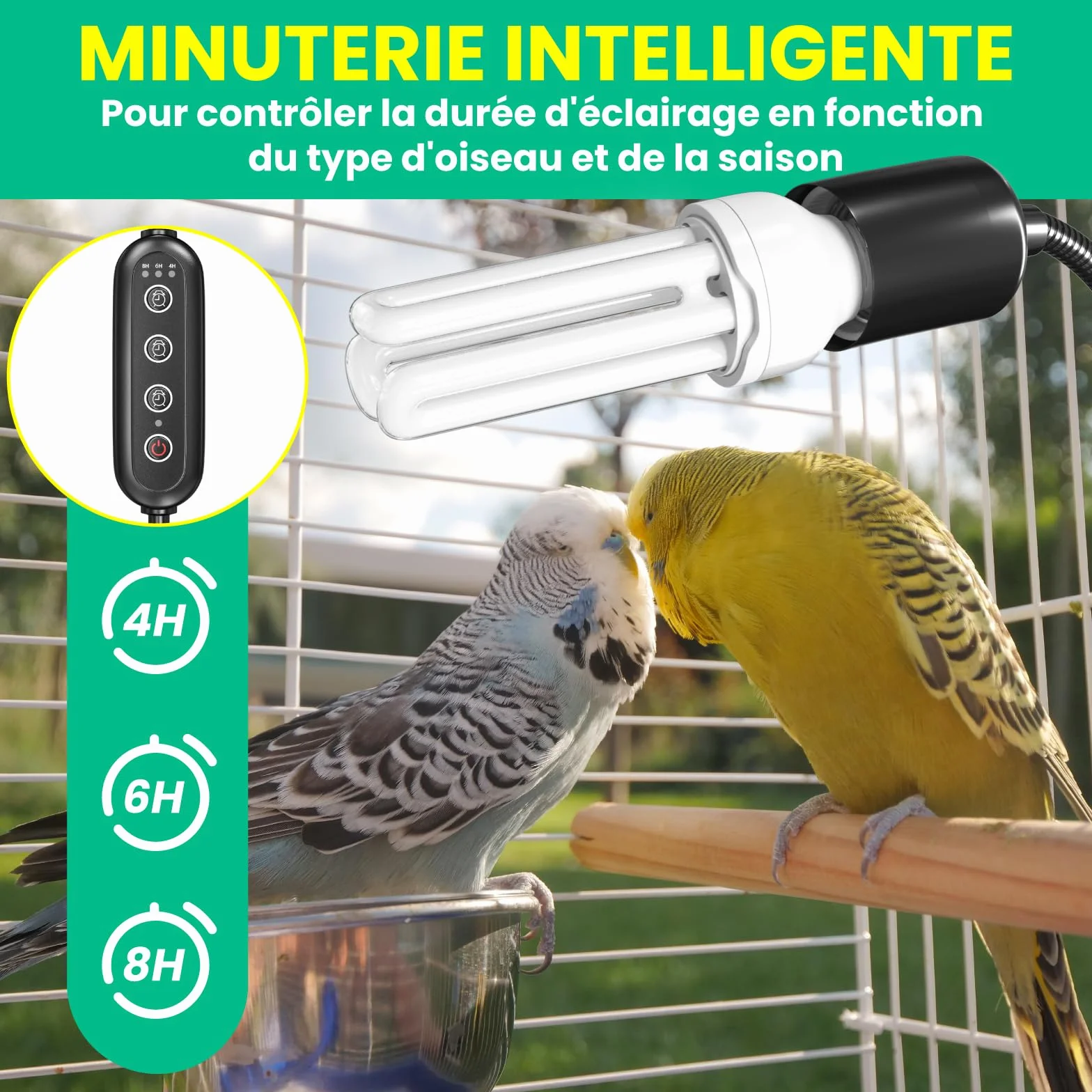 GlowUp UVB 2.4 Kit Complet d'éclairage pour Oiseaux, Lampe à Pince E27 20W