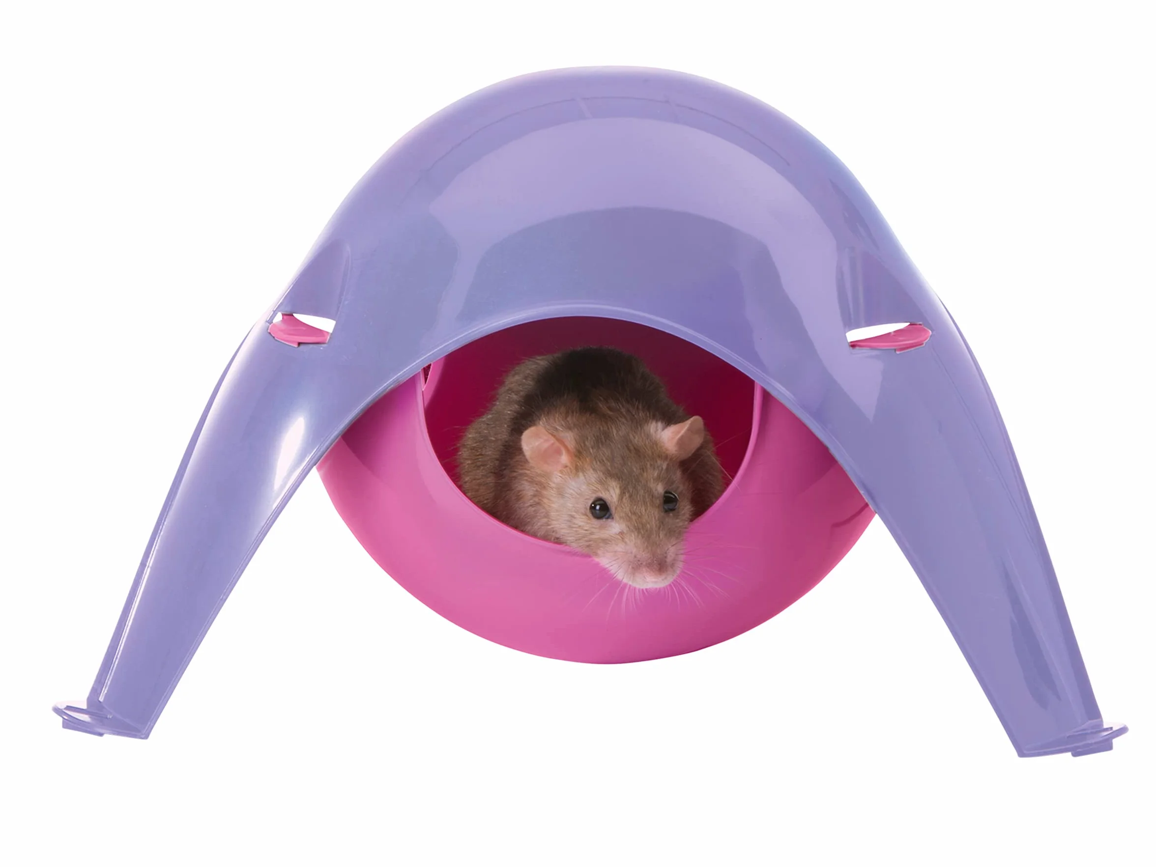 Savic Maisonnette pour Petits Animaux Plastique Sputnik Coloris aléatoire - XL