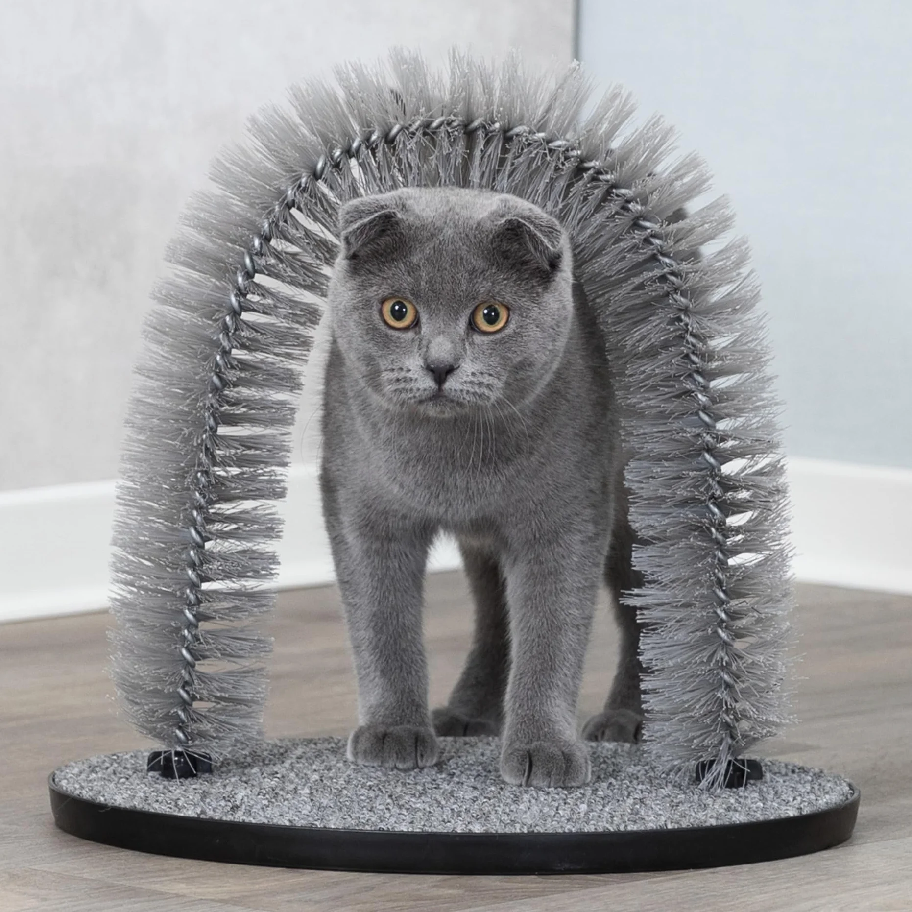 Trixie Jeu Chat Arc Massage Soin Poil 36 x 33 cm Gris