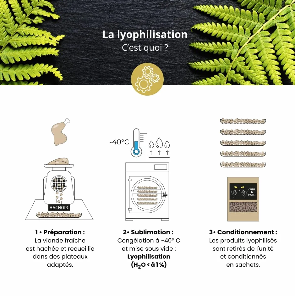Croquette Barf Cuisse et Filet de Poulet hachés Lyophilisée pour Chaton