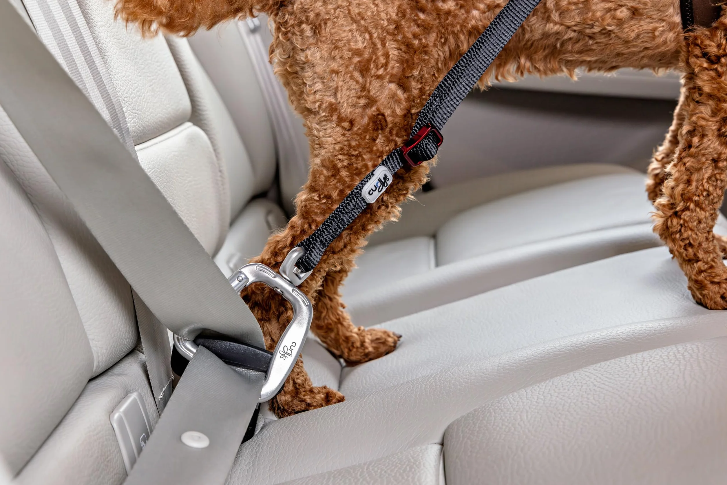 Car Safety Belt V2 L
