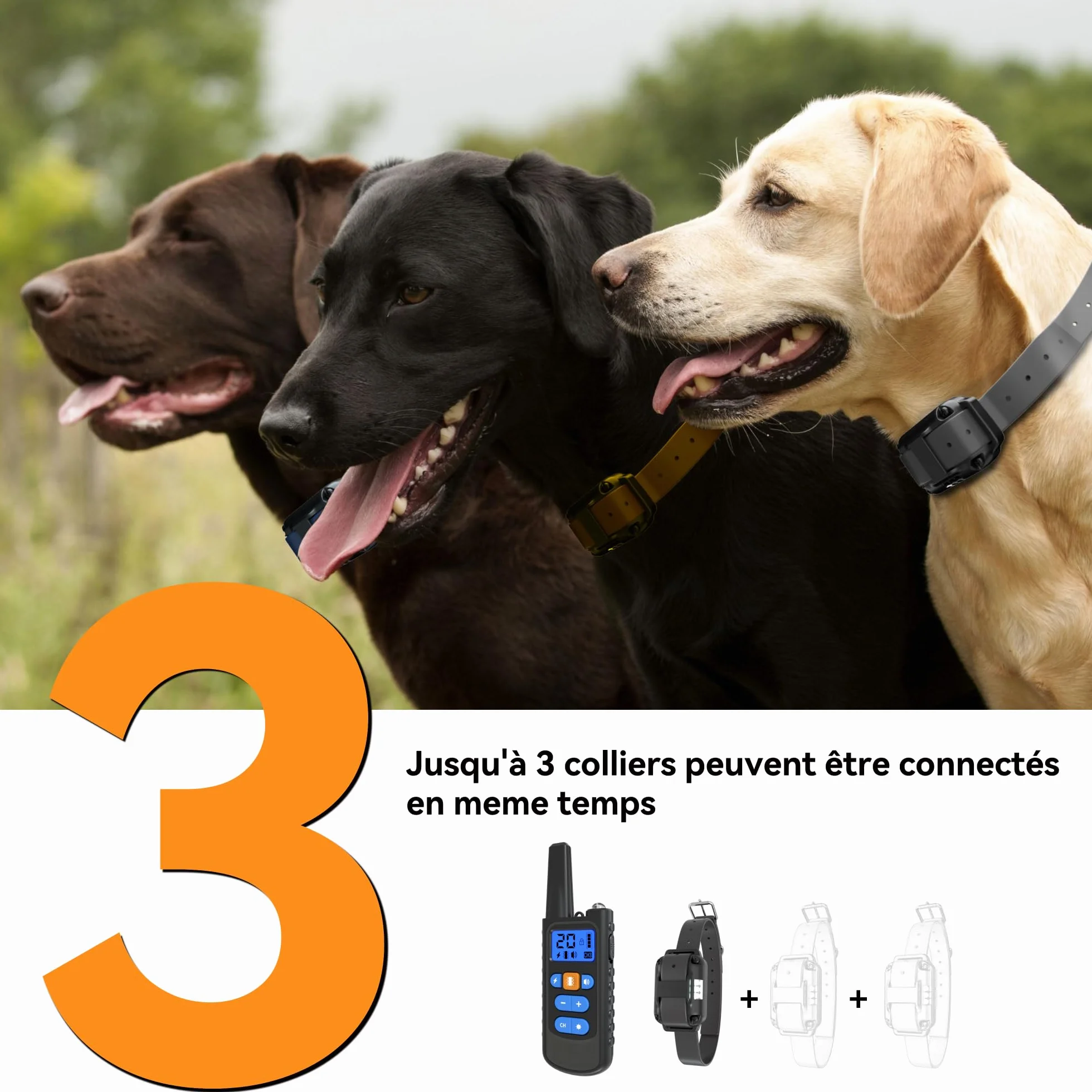 Meloive Collier de Dressage pour Chiens Rechargeable,Portée de 3000m,avec Mode Vibration,Son,Choc Statique et Lumière,IPX67 Résistant à L’Eau,Adapté Aux Chiens de Petites et Moyennes Tailles,Noir