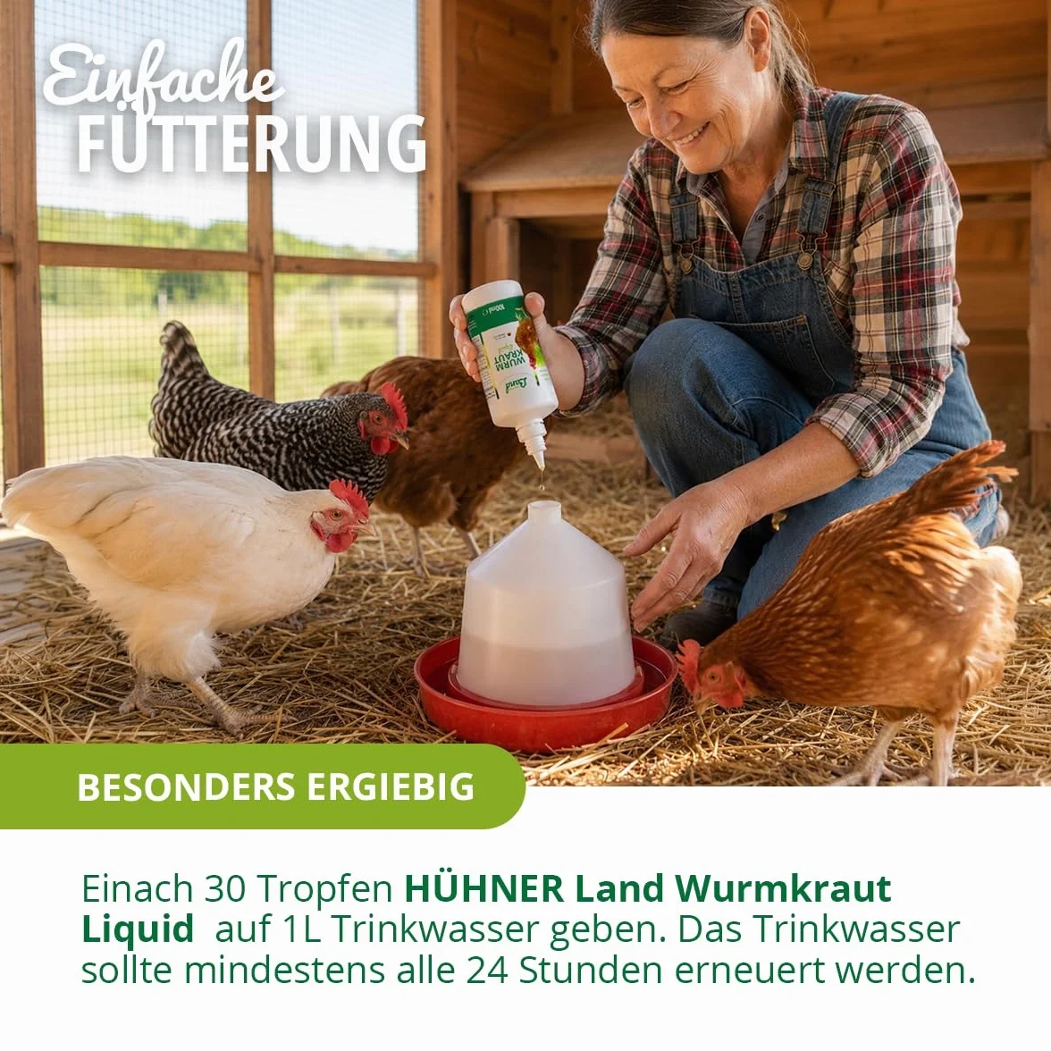 HÜHNER Land Vermifuge liquide 100 ml pour poules et volailles Artemisia Absinthium