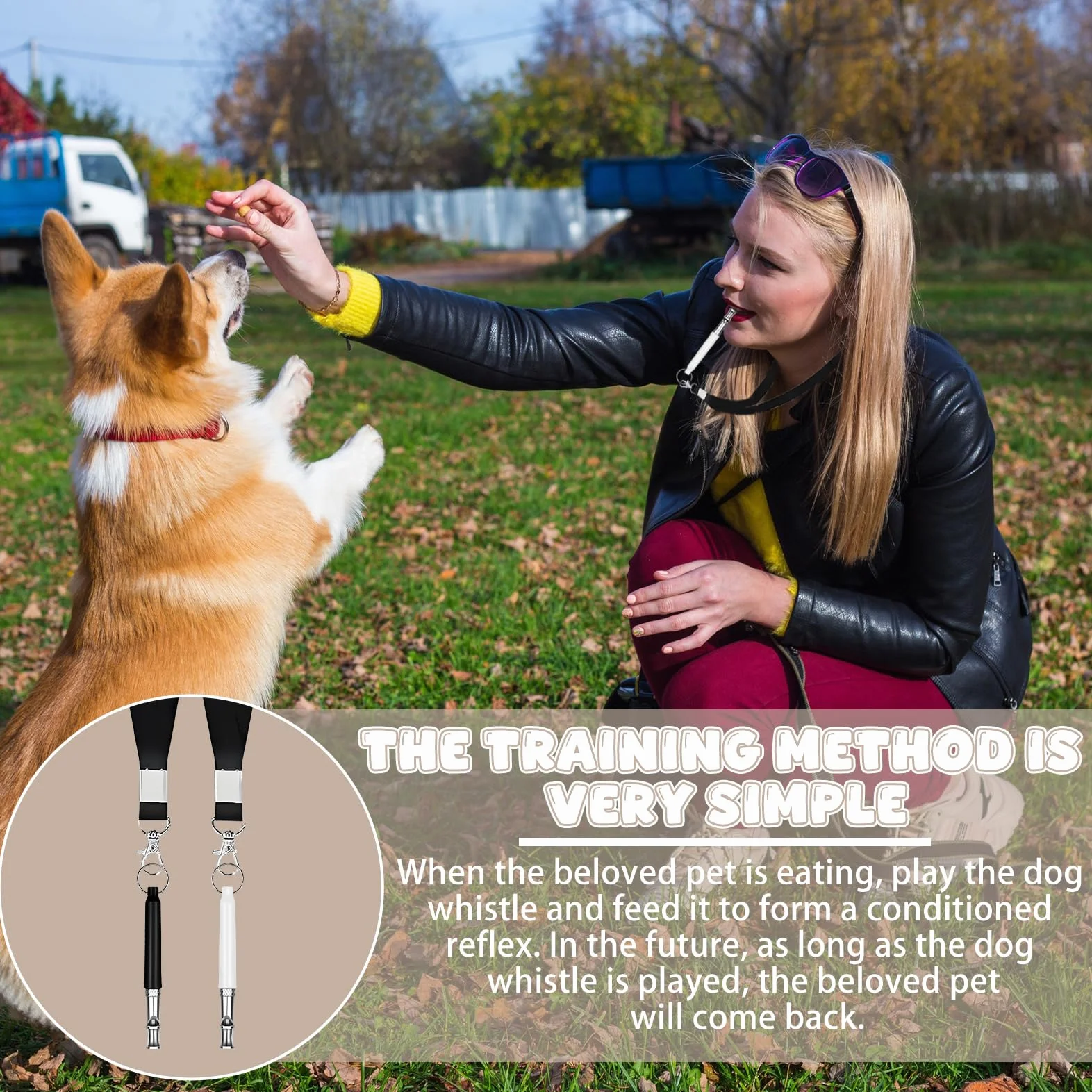 Sifflets pour Chien avec Clicker Ultrason Anti Aboiement Dressage Chien avec Lanière