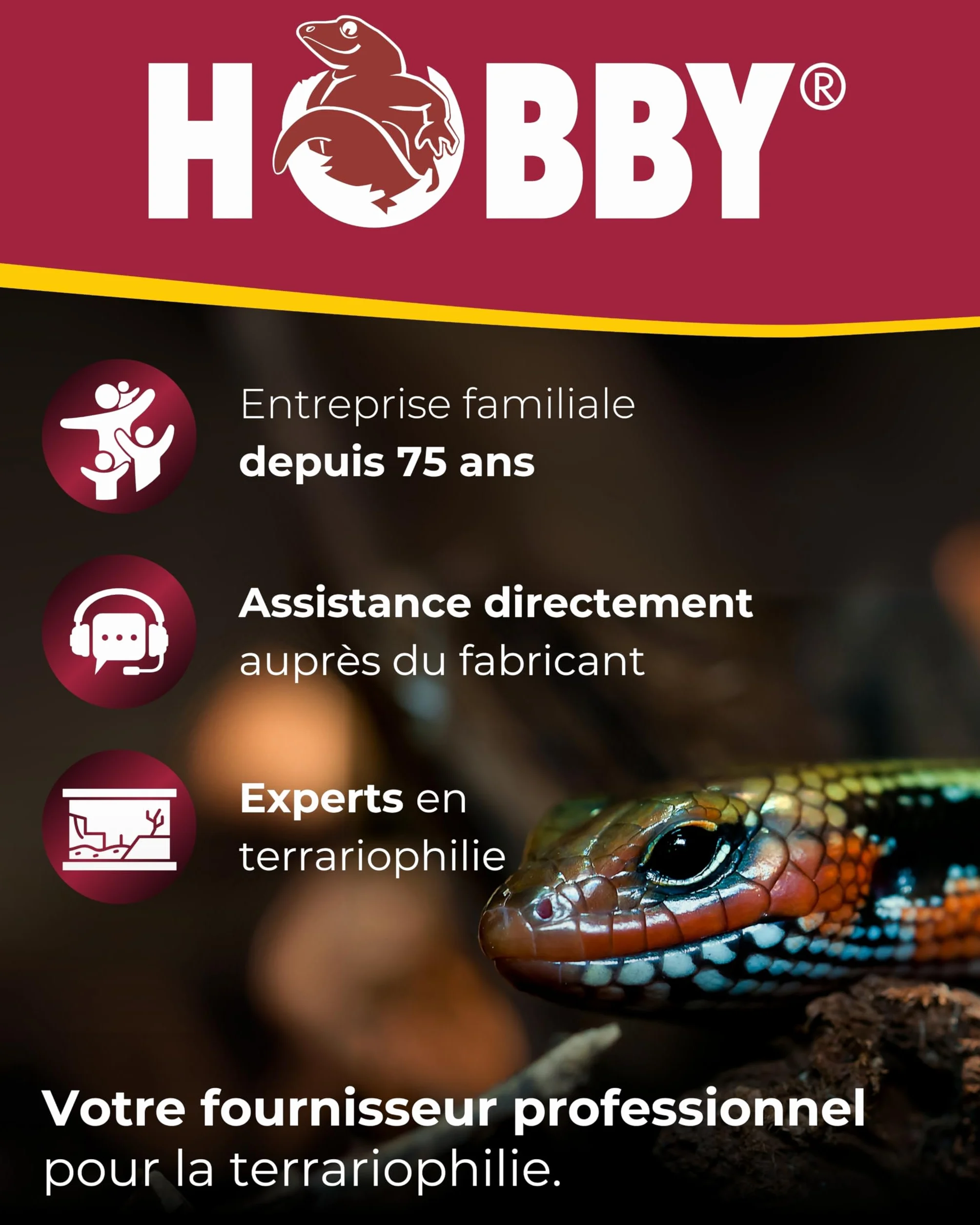 HOBBY Terraristik Système de brumisation numérique pour terrariums 4L